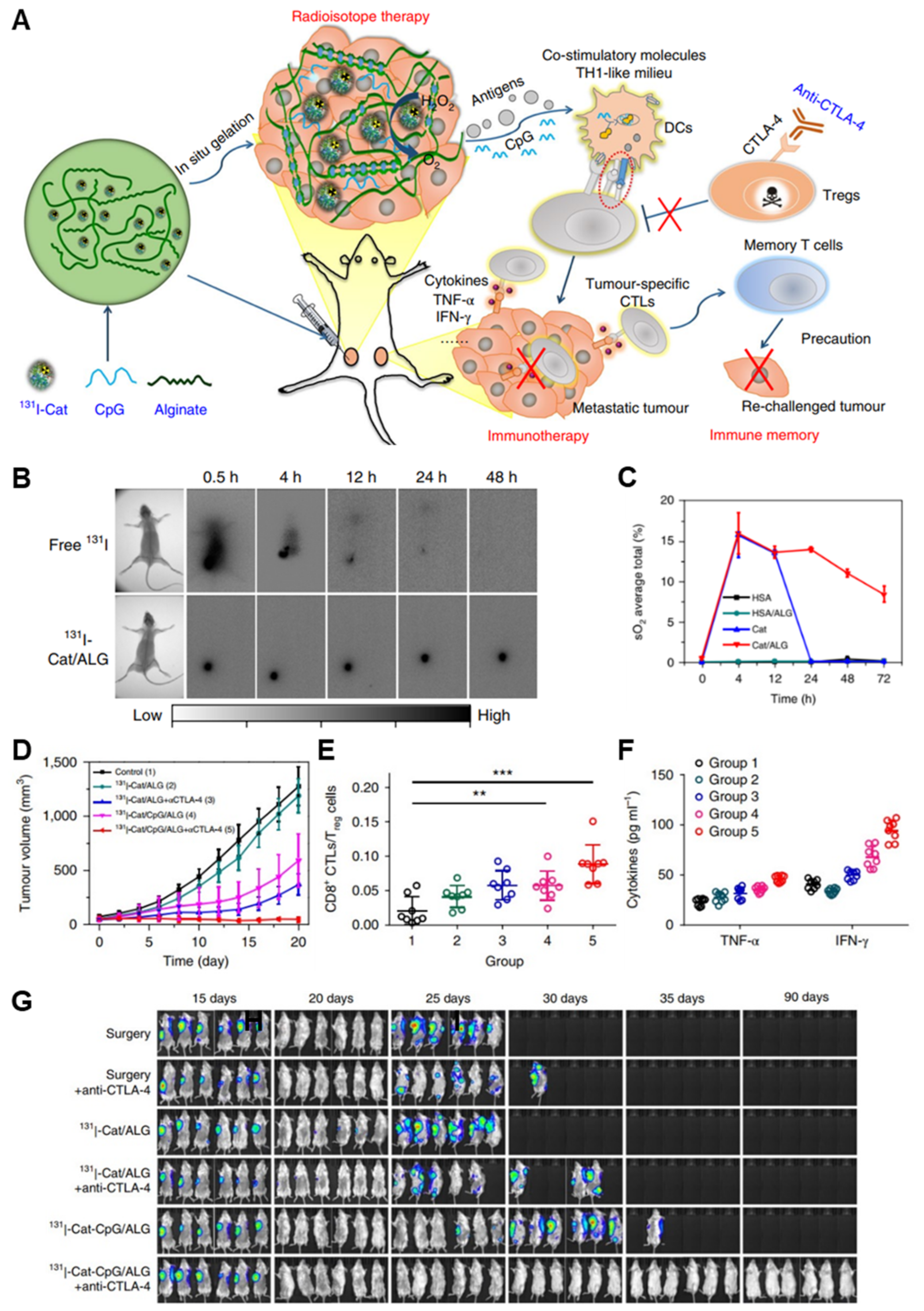 Pharmaceutics 14 01908 g005