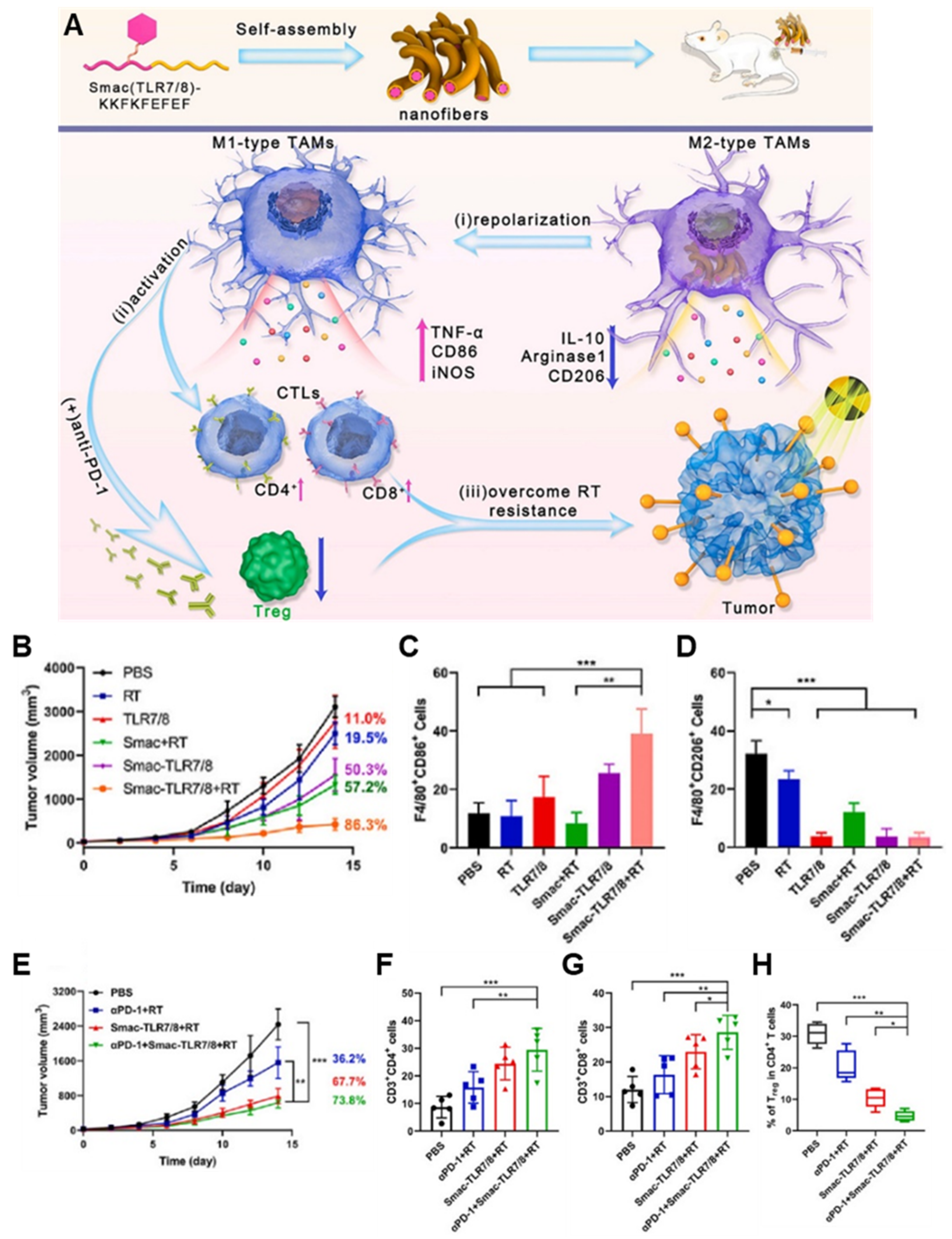 Pharmaceutics 14 01908 g006