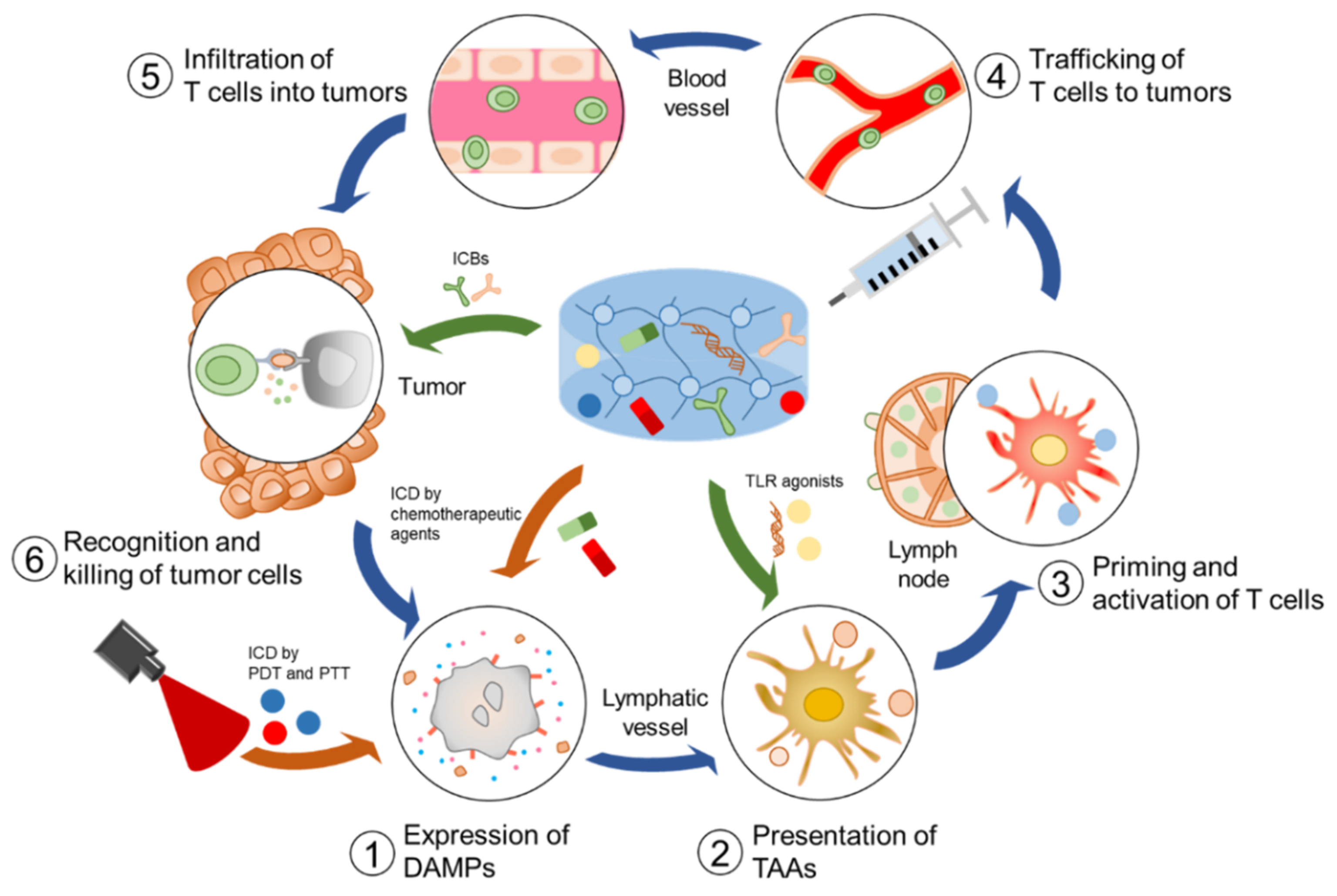 Pharmaceutics 14 01908 sch001