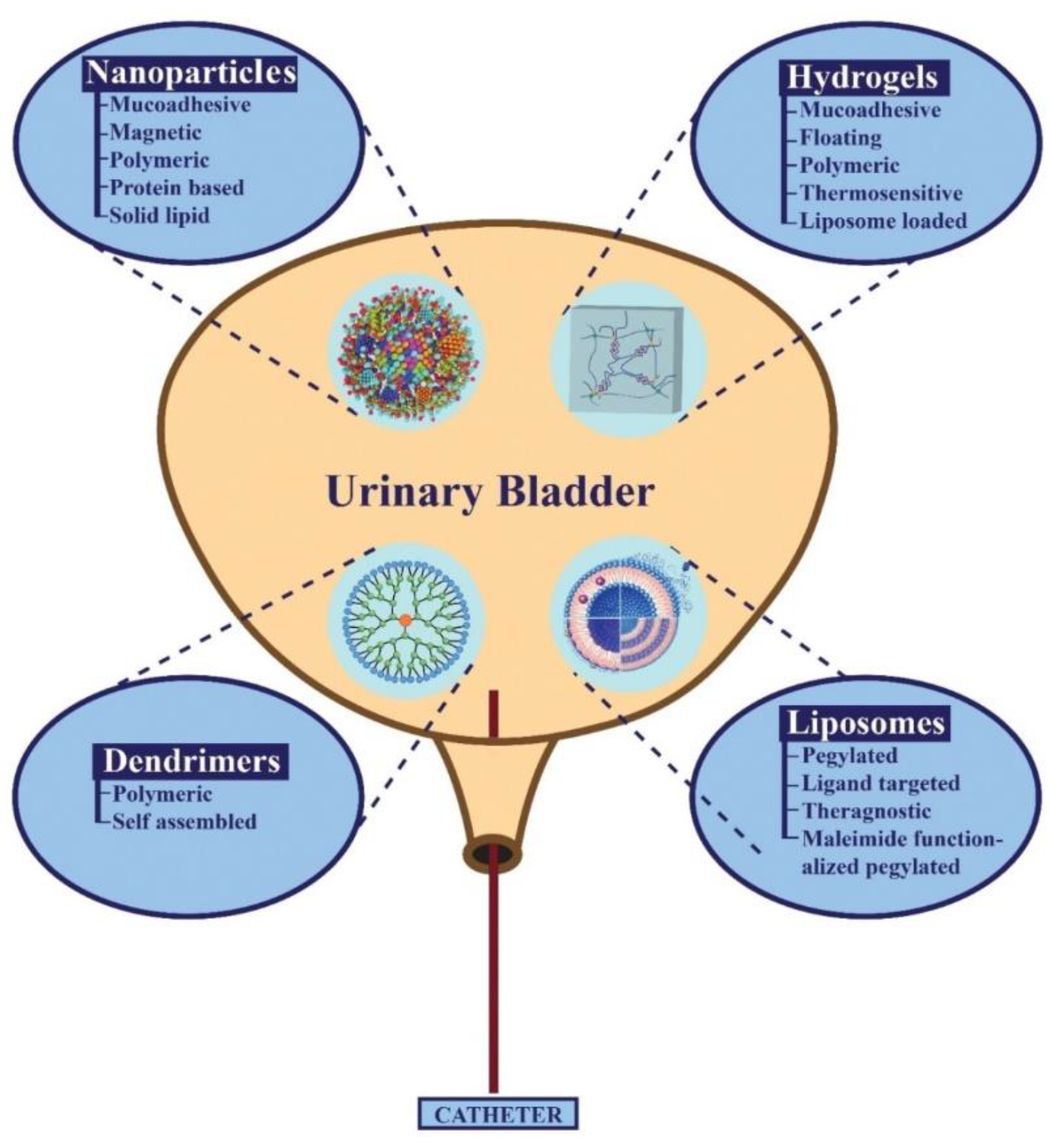 Pharmaceutics 14 01909 g002