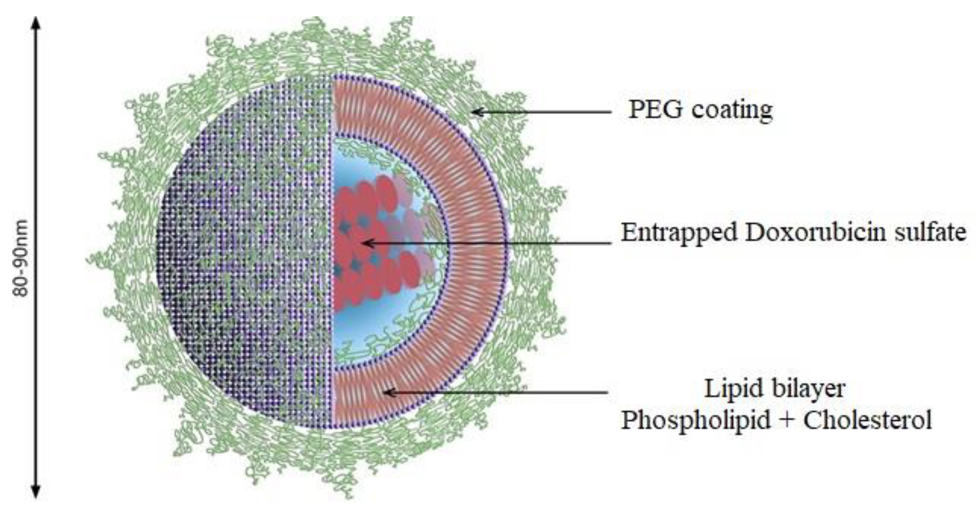 Pharmaceutics 14 01909 g005