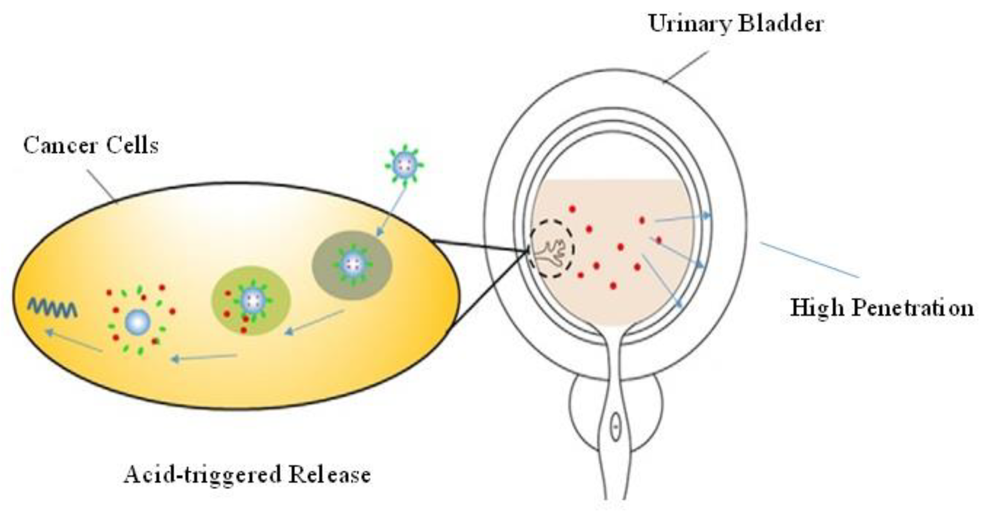 Pharmaceutics 14 01909 g006