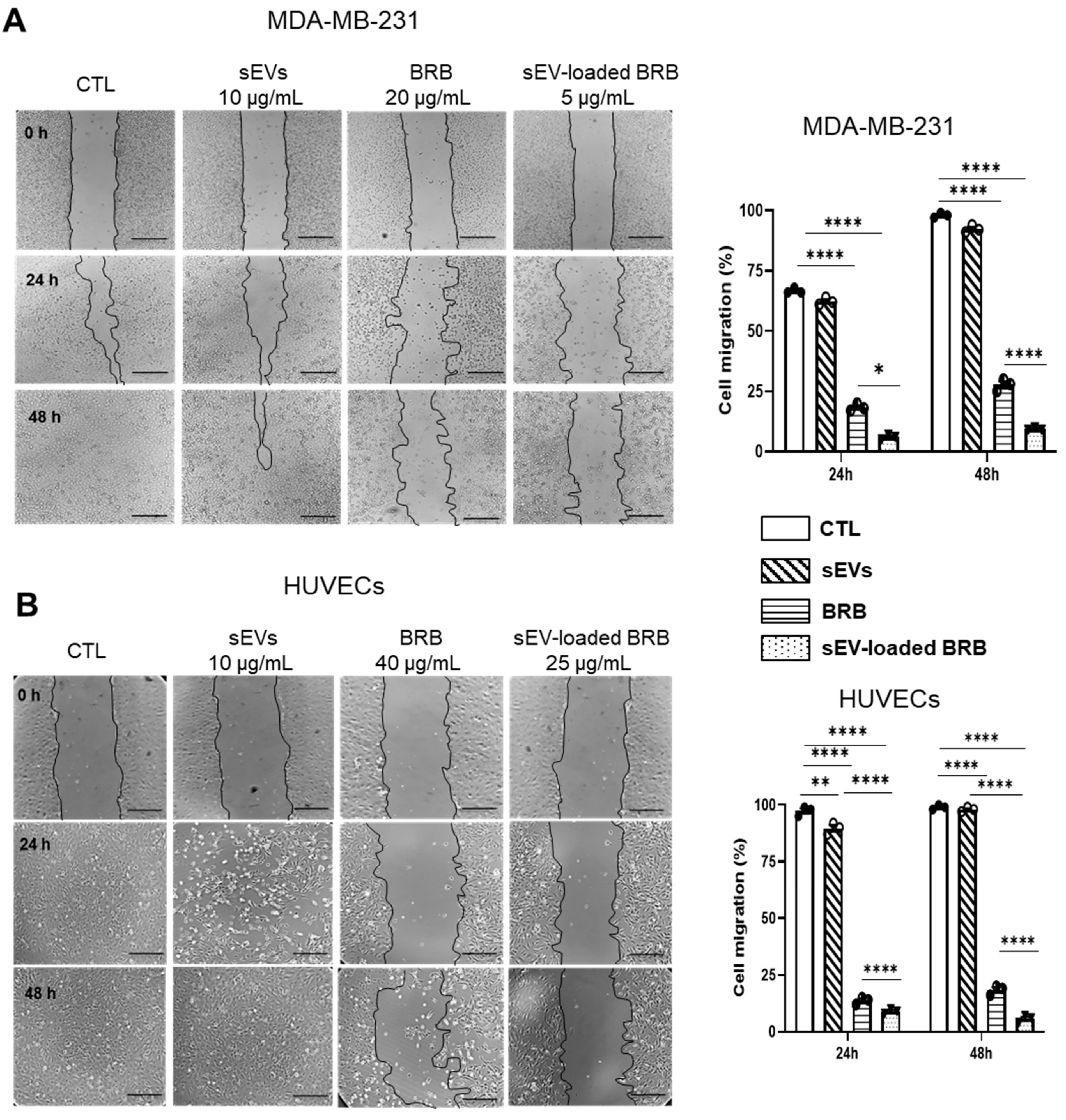 Pharmaceutics 14 01913 g003