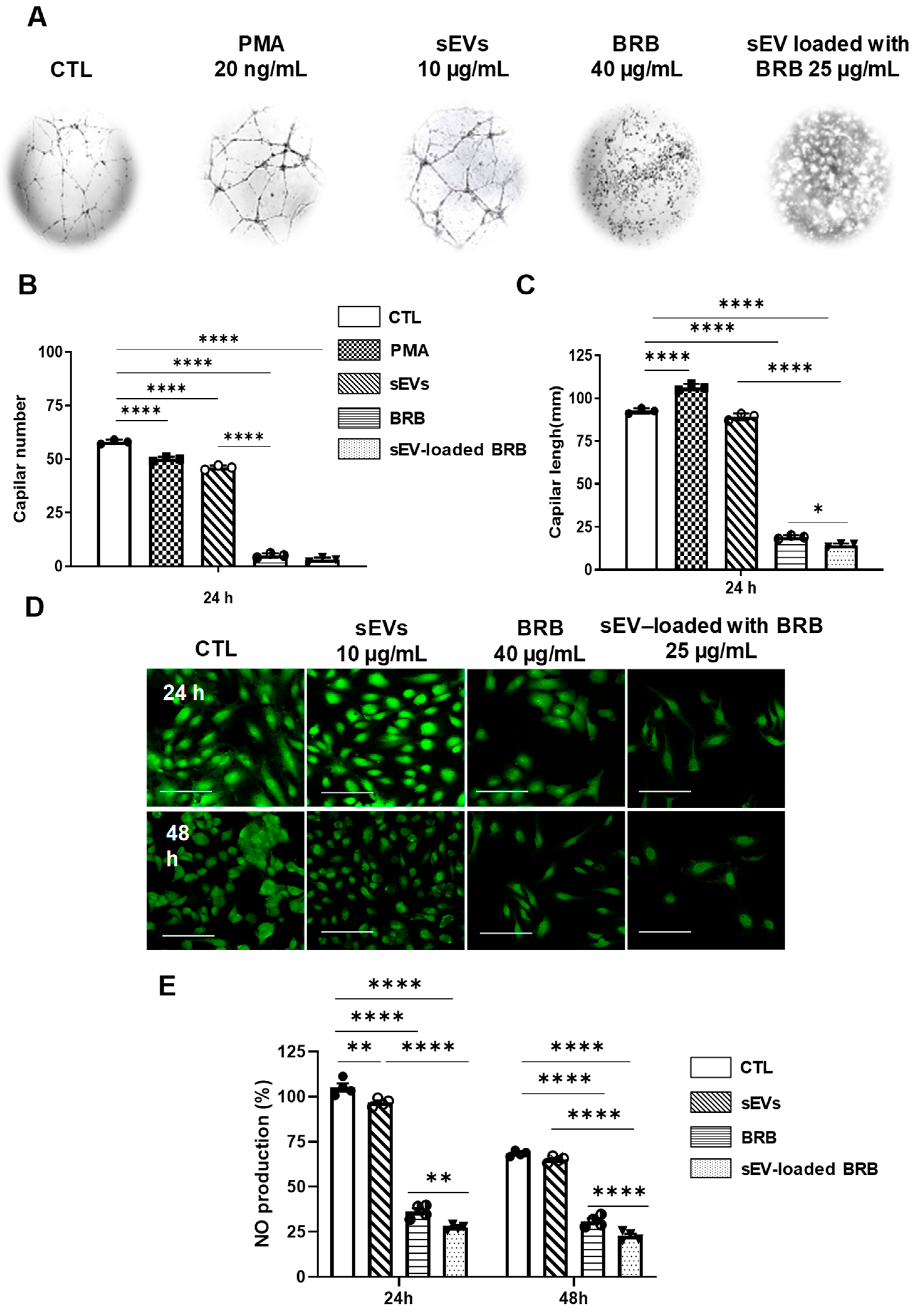Pharmaceutics 14 01913 g004