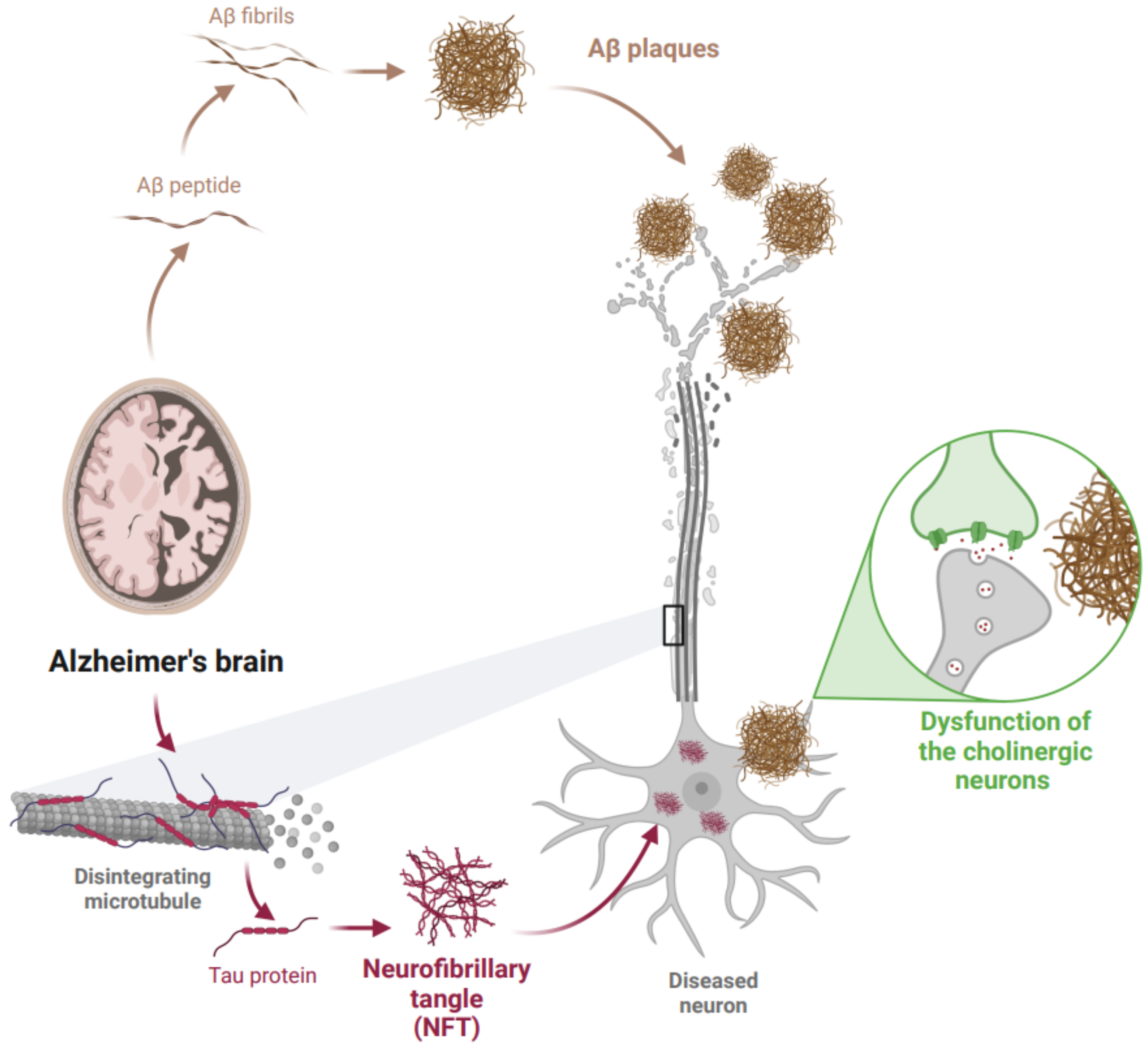 Pharmaceutics 14 01914 g001