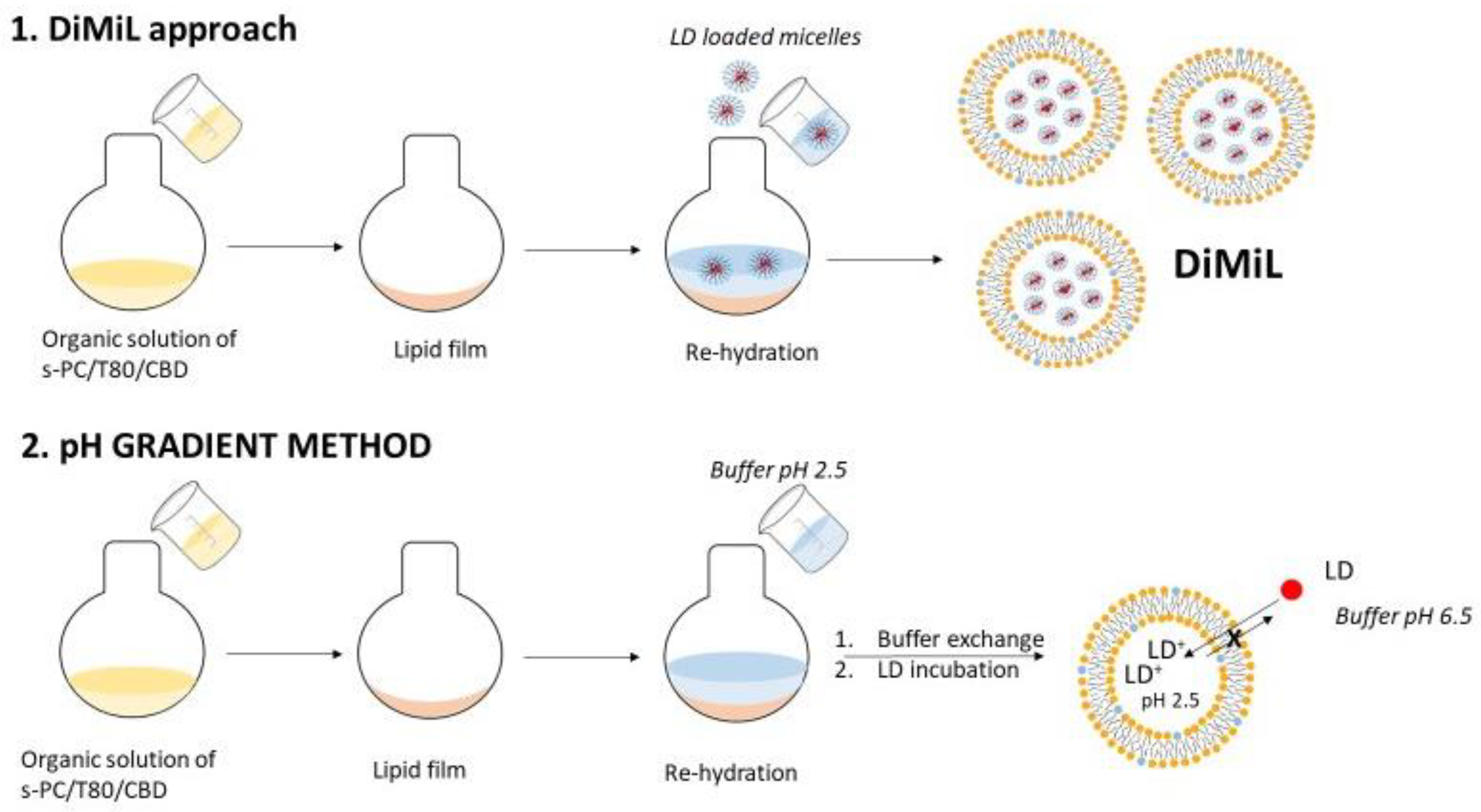 Pharmaceutics 14 01915 g001