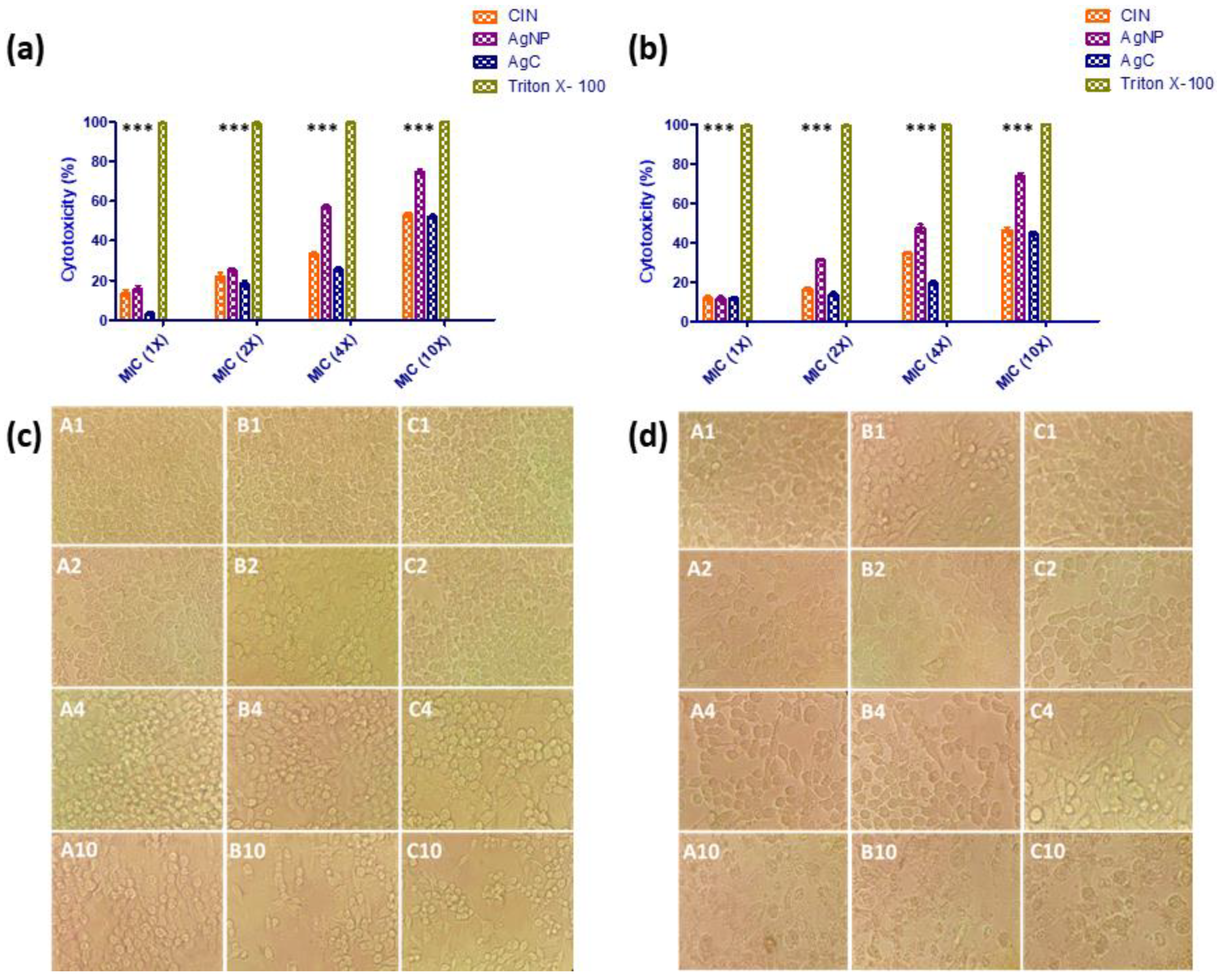 Pharmaceutics 14 01924 g002
