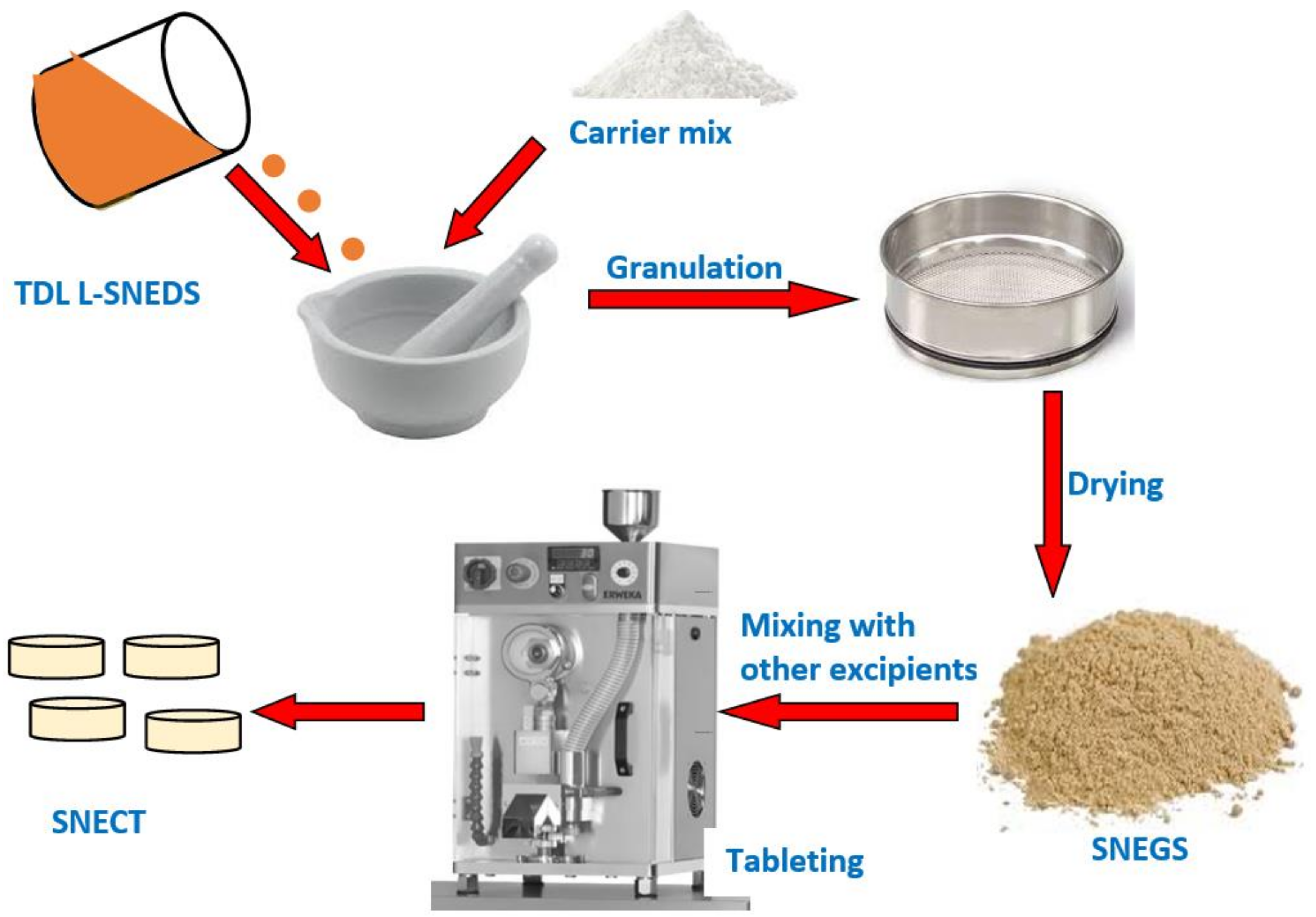 Pharmaceutics 14 01927 g001