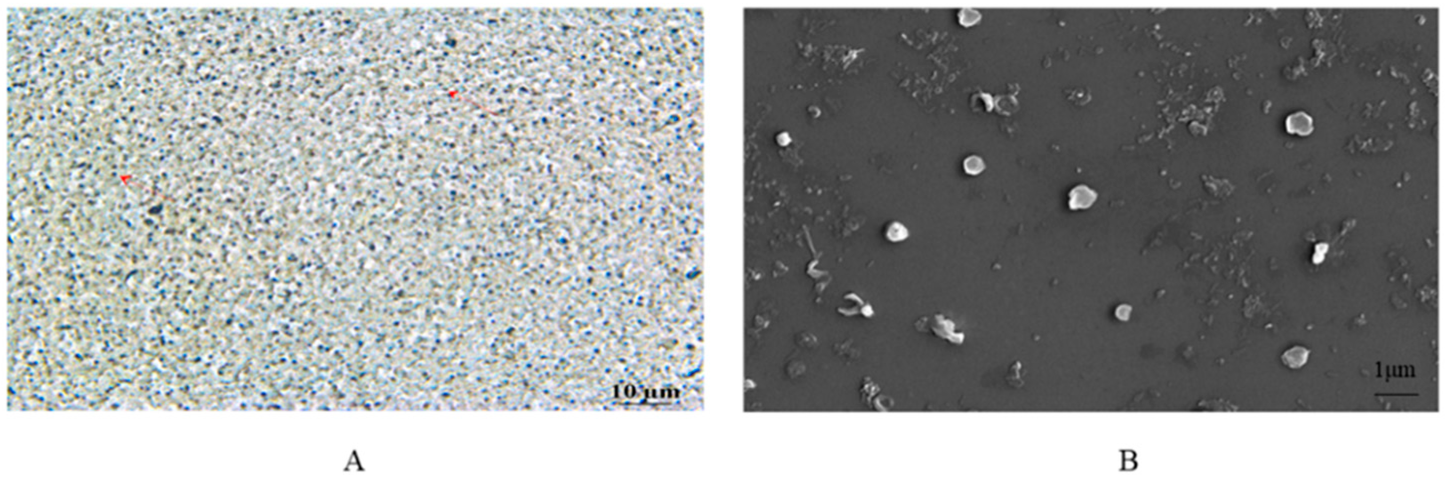 Pharmaceutics 14 01929 g003