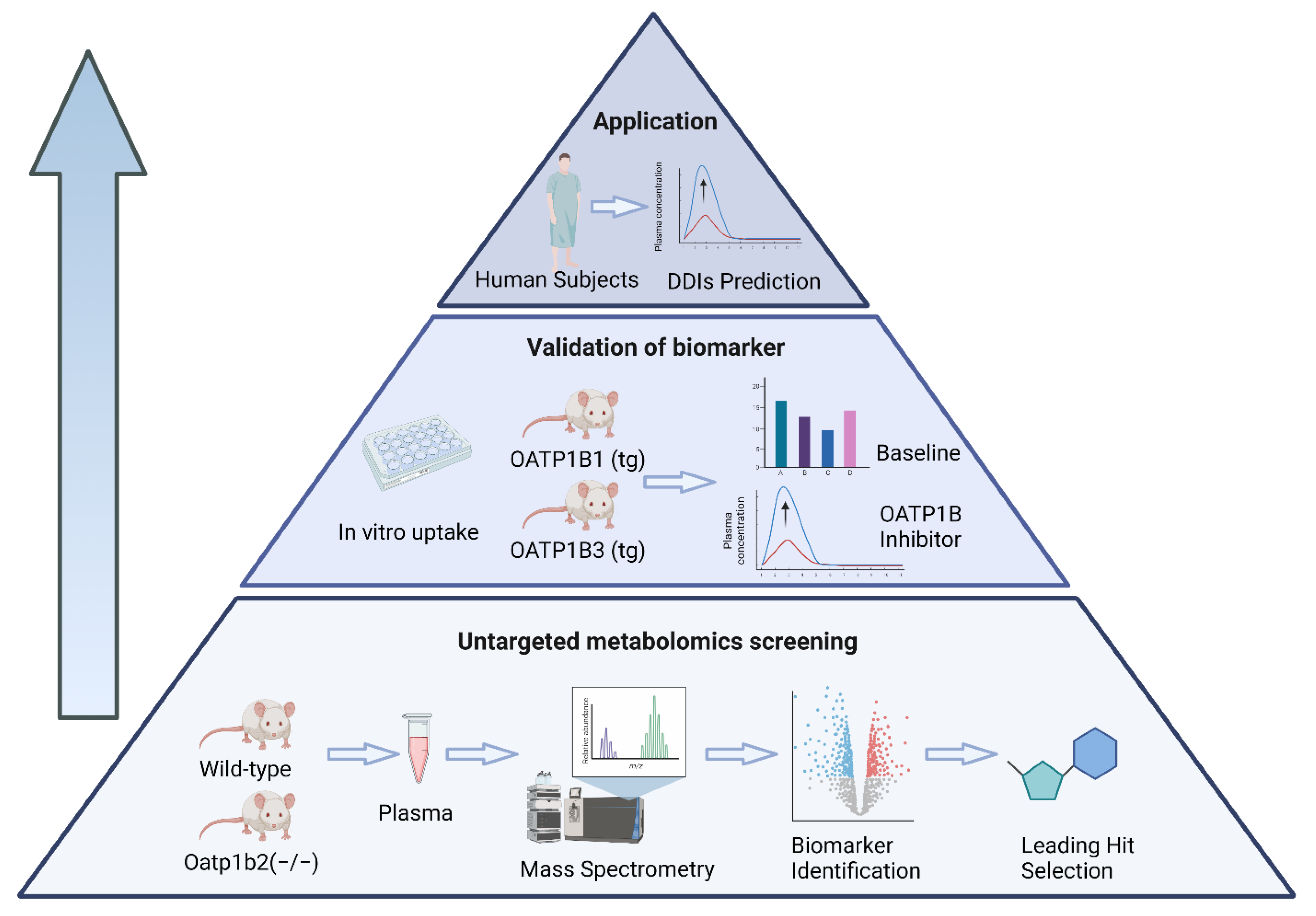 Pharmaceutics 14 01933 g001