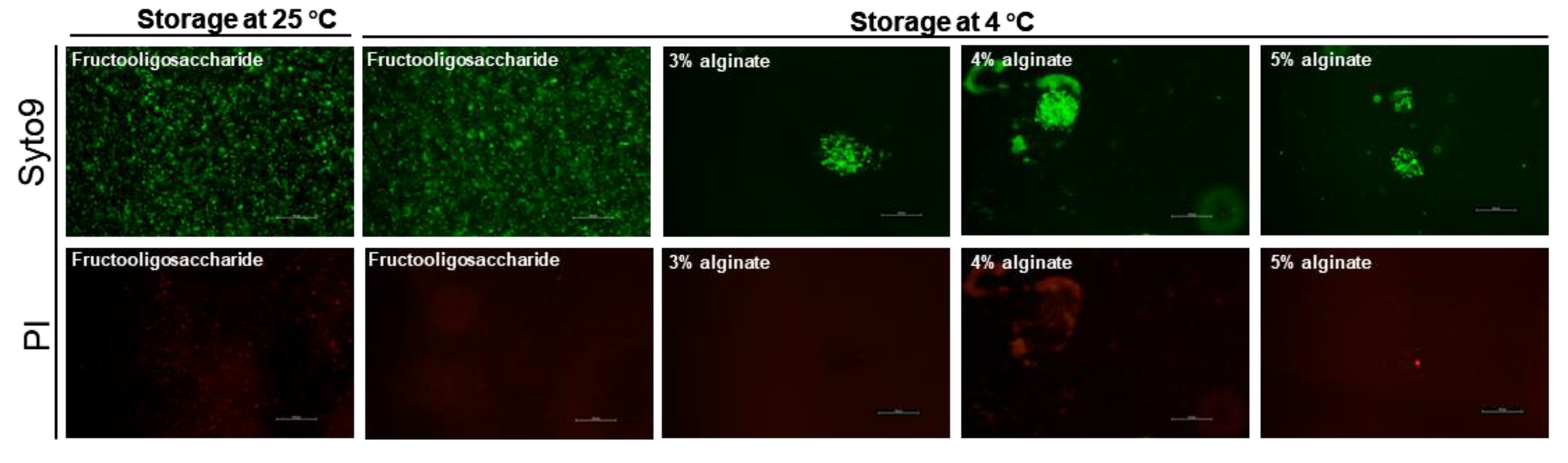 Pharmaceutics 14 01934 g005