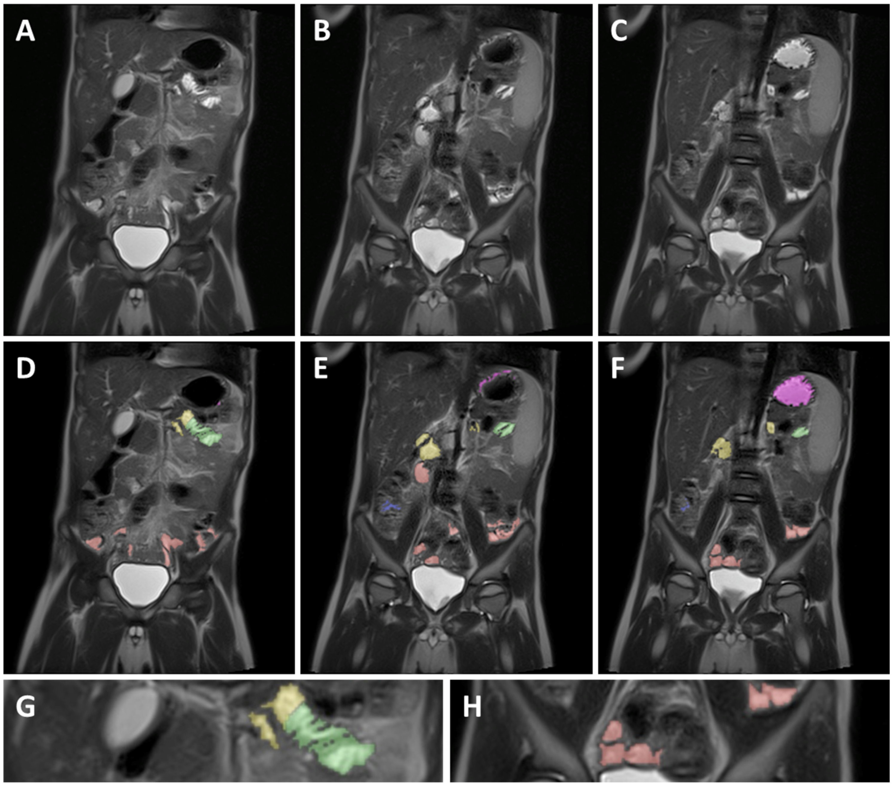 Pharmaceutics 14 01935 g002