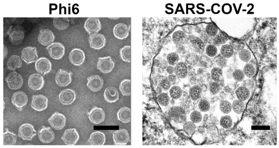 Pharmaceutics 14 01936 g001