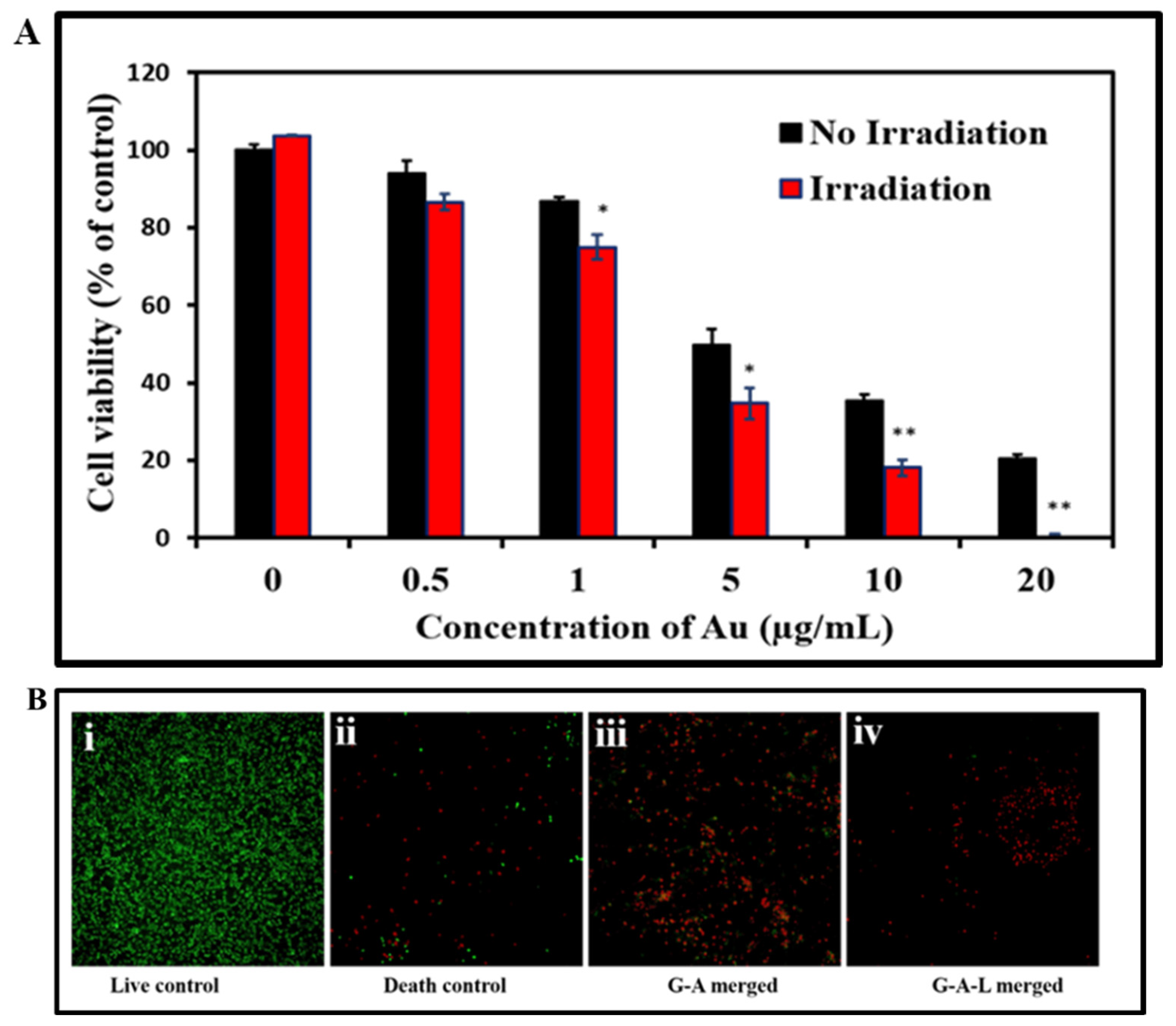 Pharmaceutics 14 01939 g005