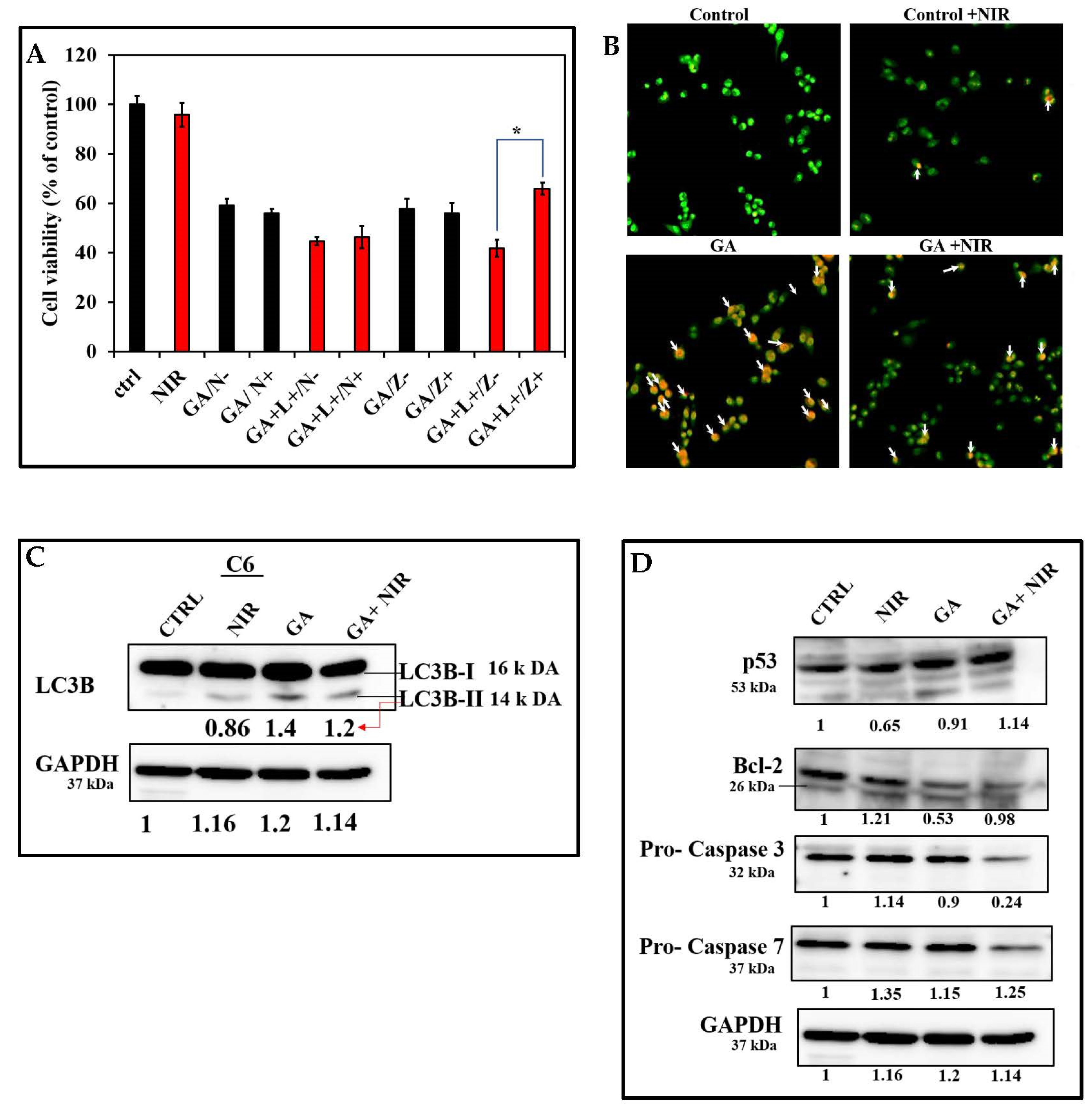 Pharmaceutics 14 01939 g008