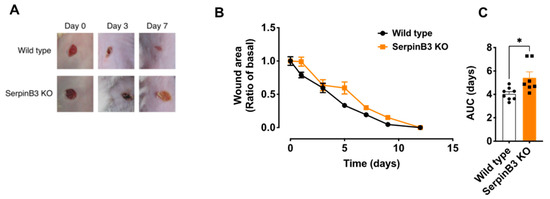 Pharmaceutics 14 01944 g0a4 550