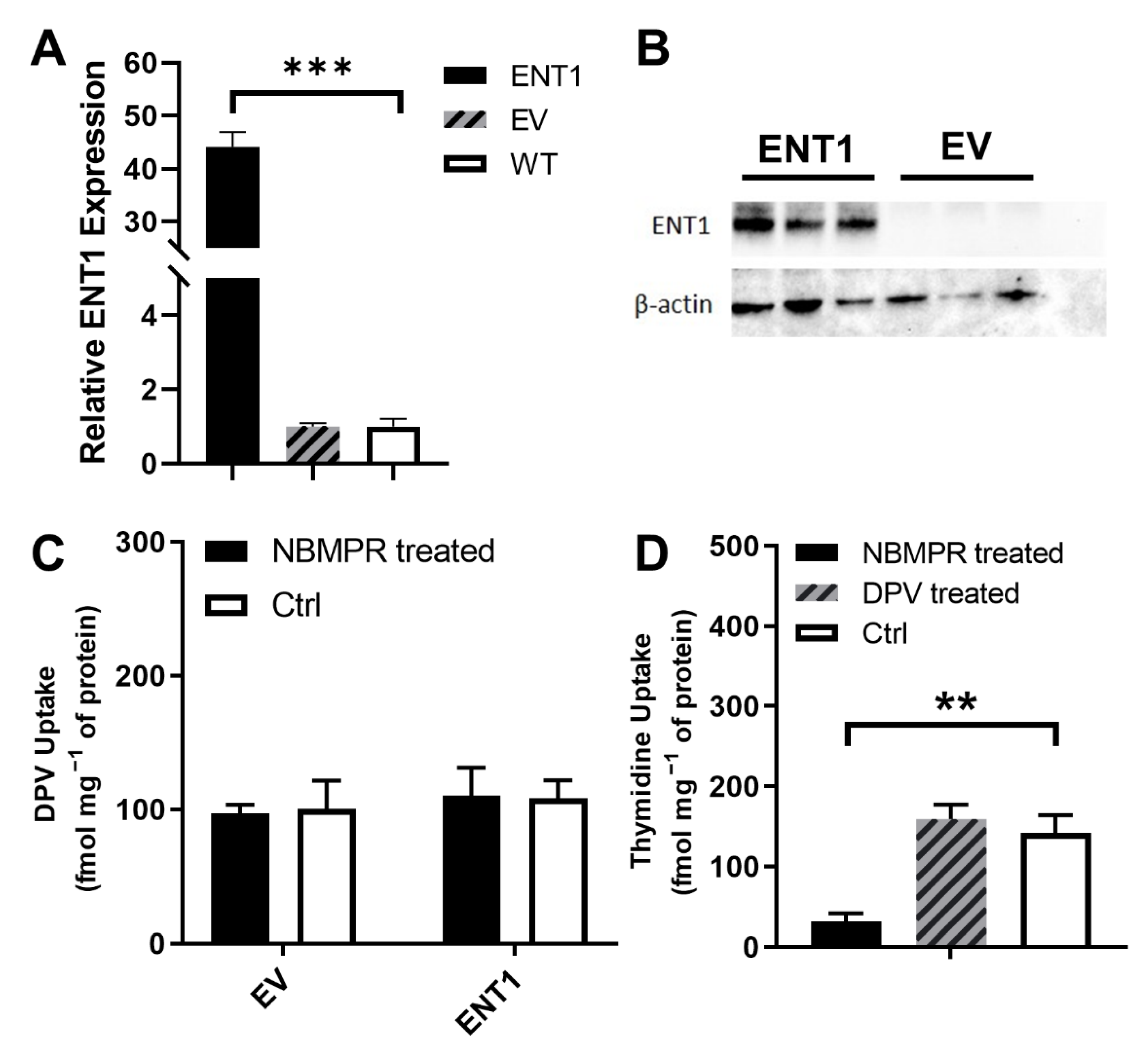 Pharmaceutics 14 01948 g005
