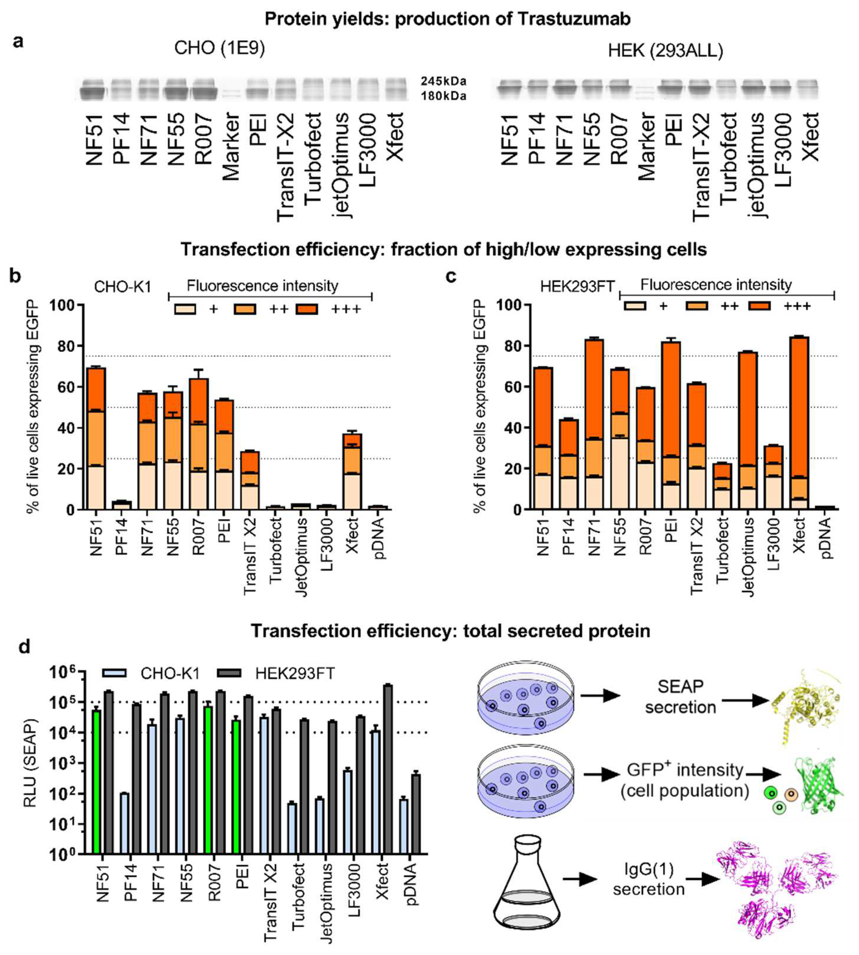 Pharmaceutics 14 01949 g003