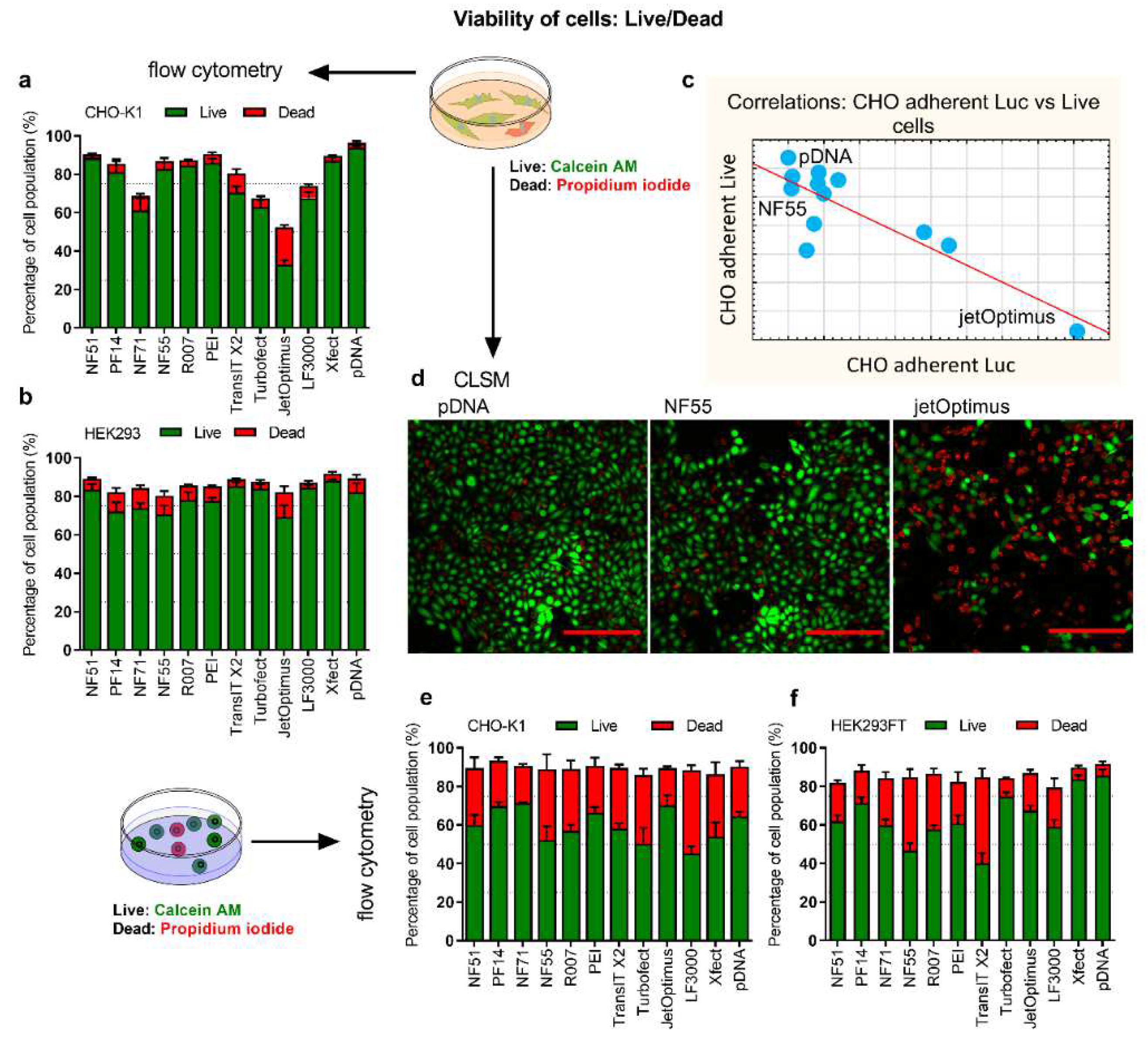 Pharmaceutics 14 01949 g004