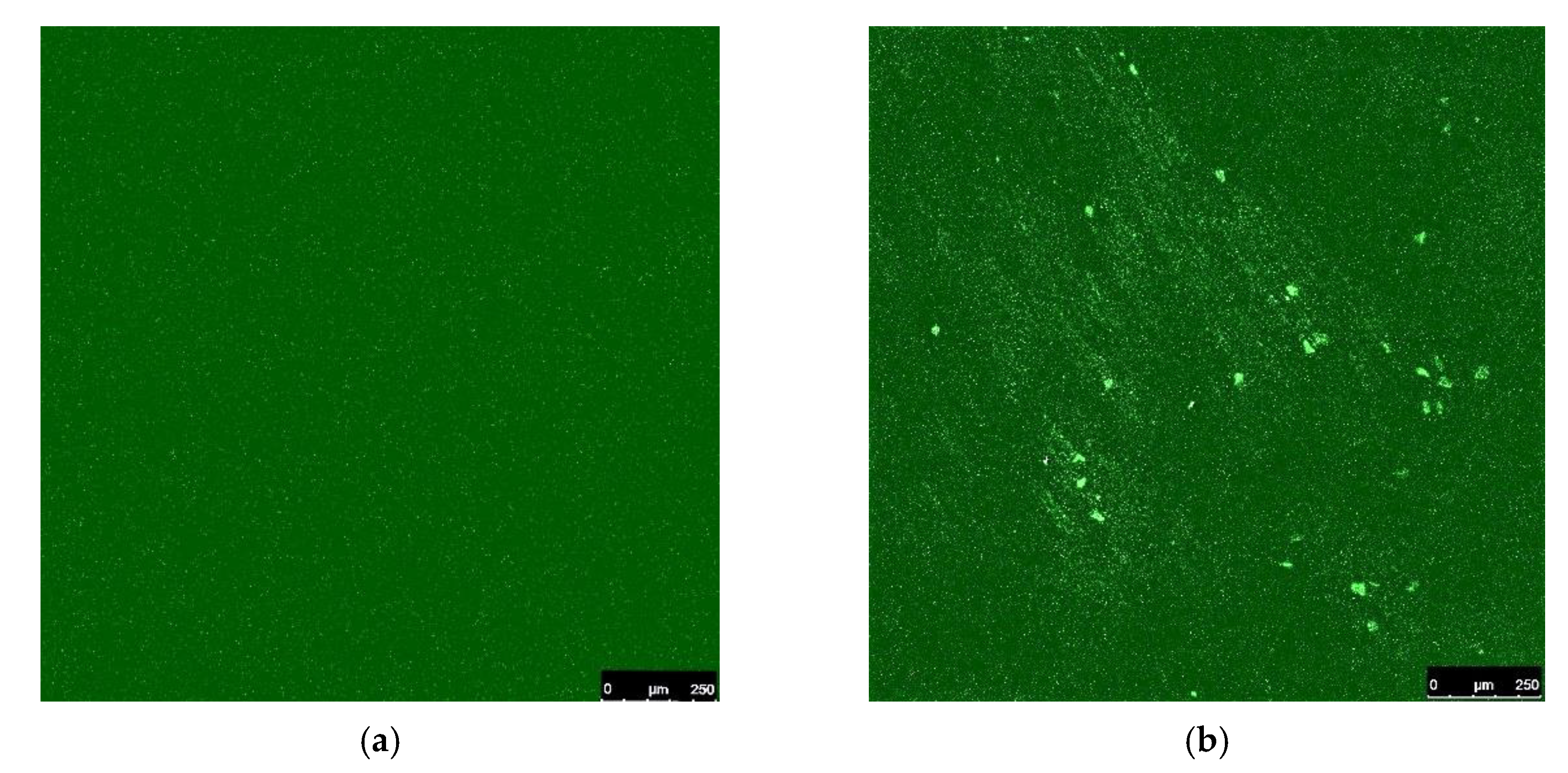 Pharmaceutics 14 01950 g004