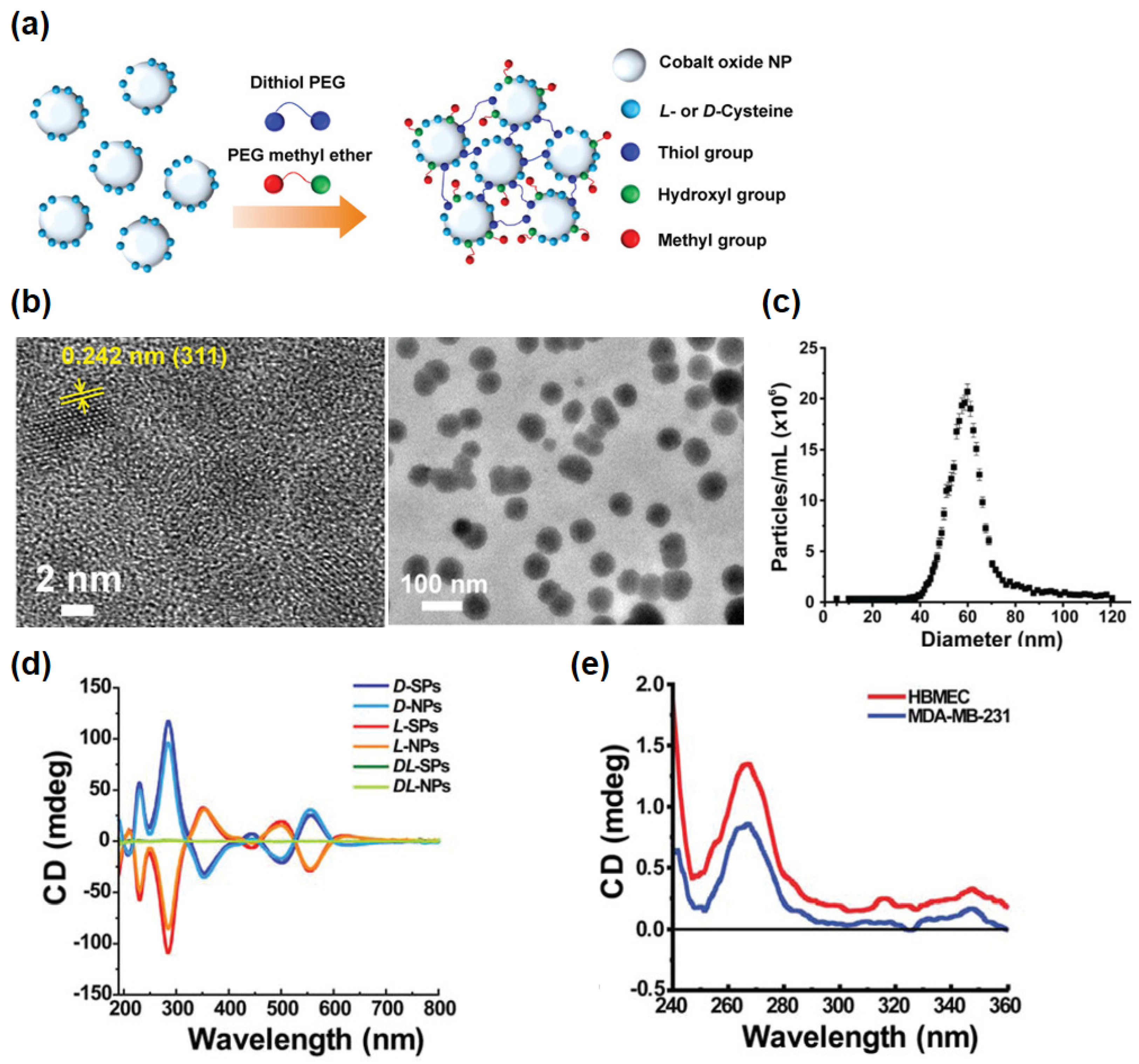 Pharmaceutics 14 01951 g001