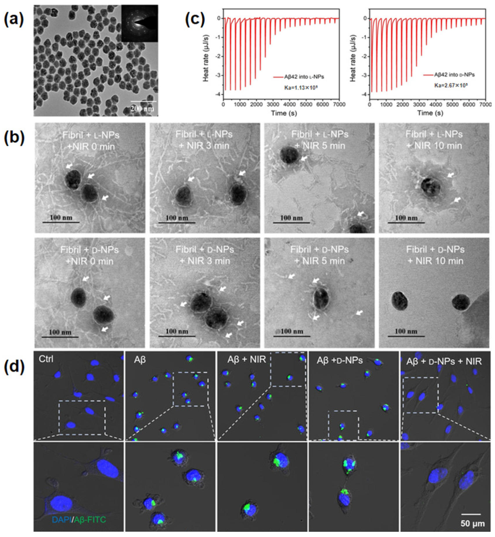 Pharmaceutics 14 01951 g004
