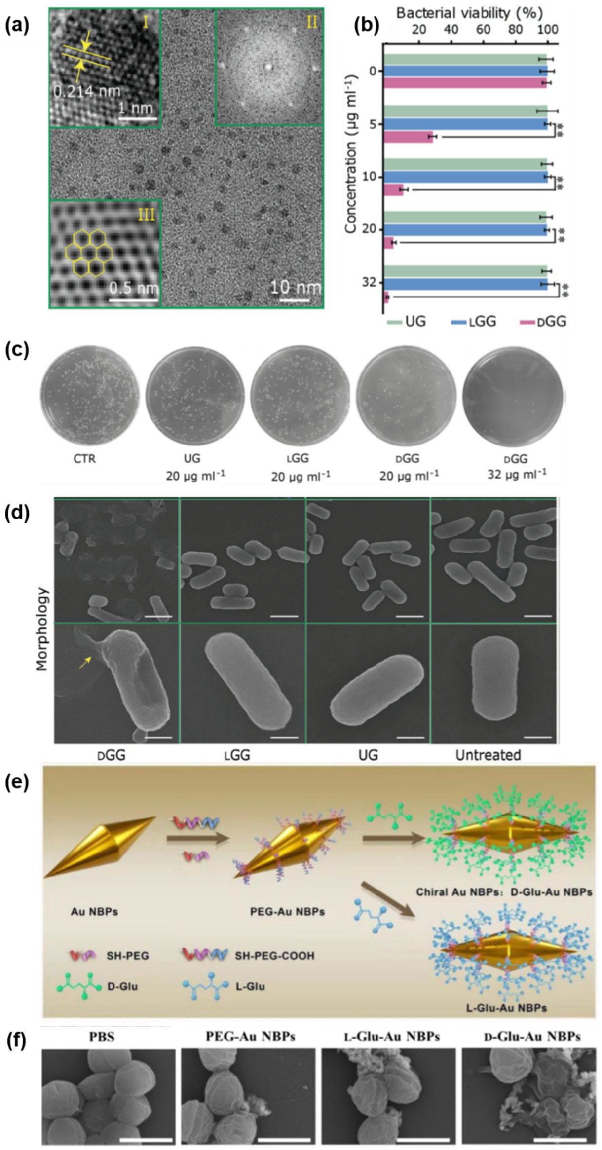 Pharmaceutics 14 01951 g005