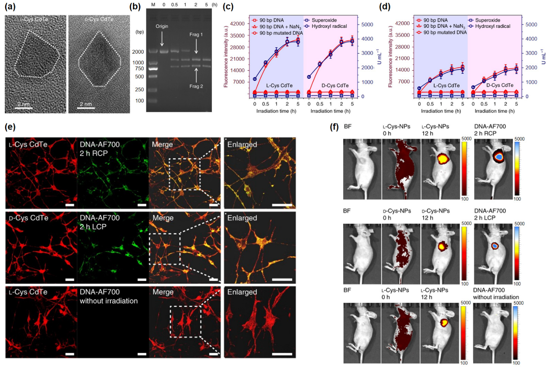 Pharmaceutics 14 01951 g006