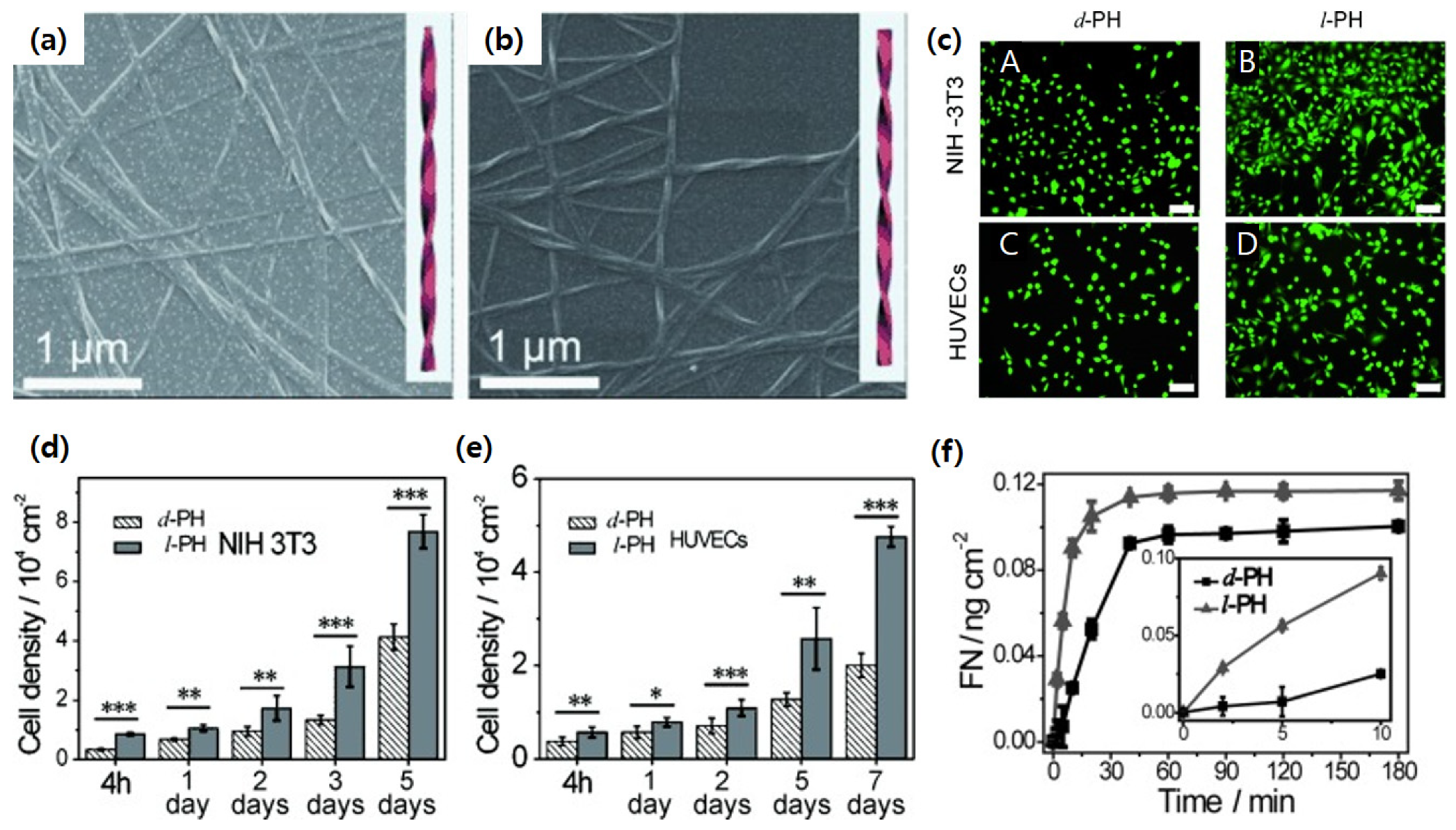 Pharmaceutics 14 01951 g008