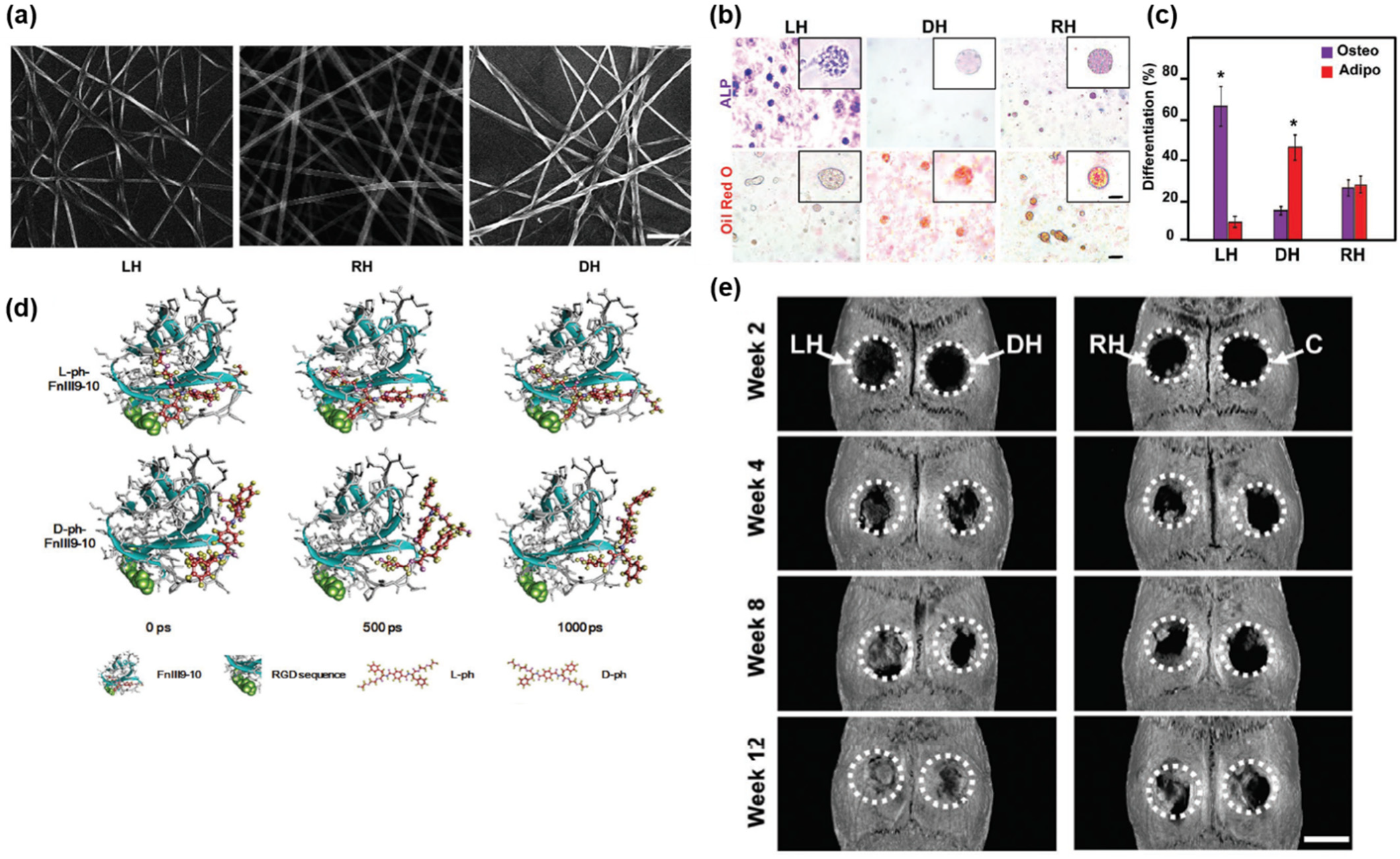 Pharmaceutics 14 01951 g009