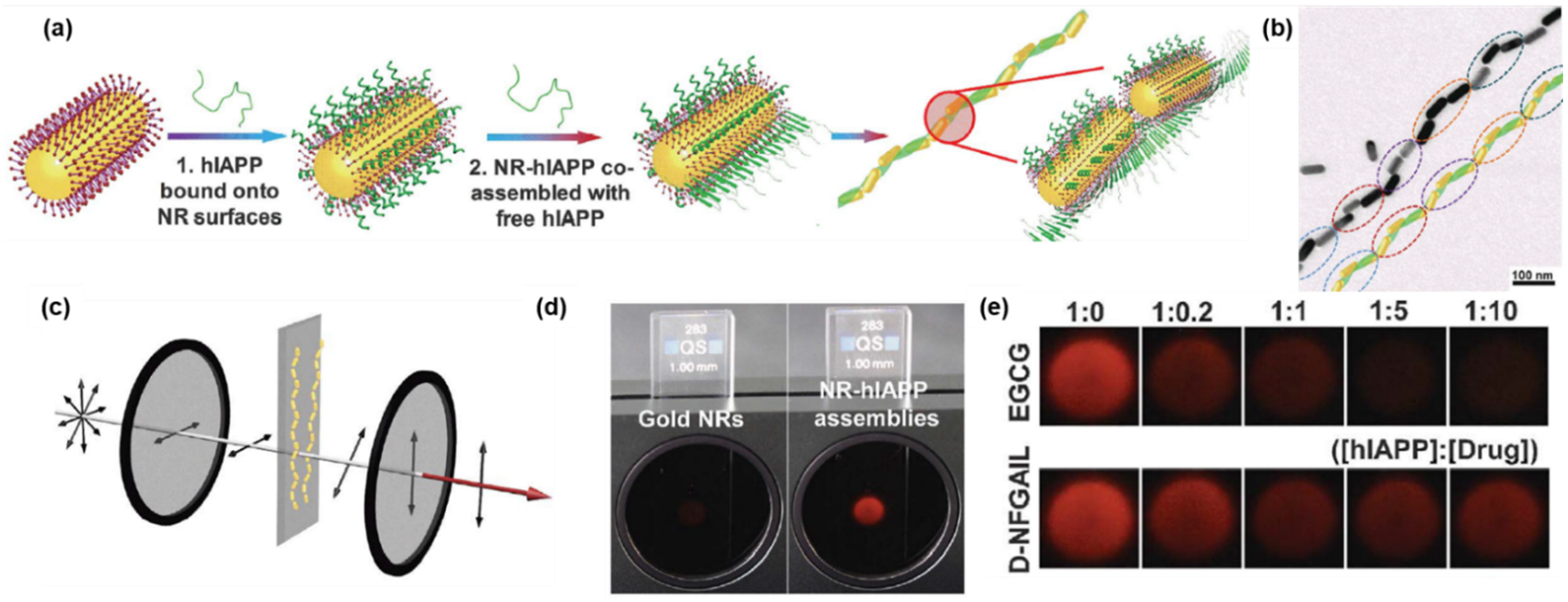 Pharmaceutics 14 01951 g011