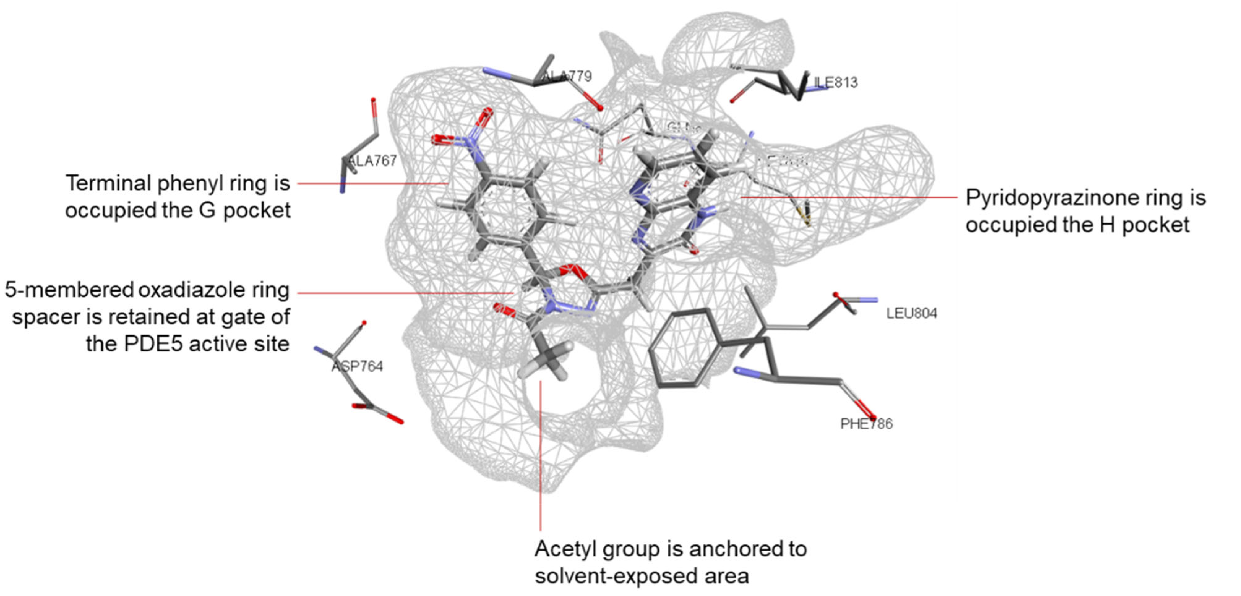 Pharmaceutics 14 01954 g008