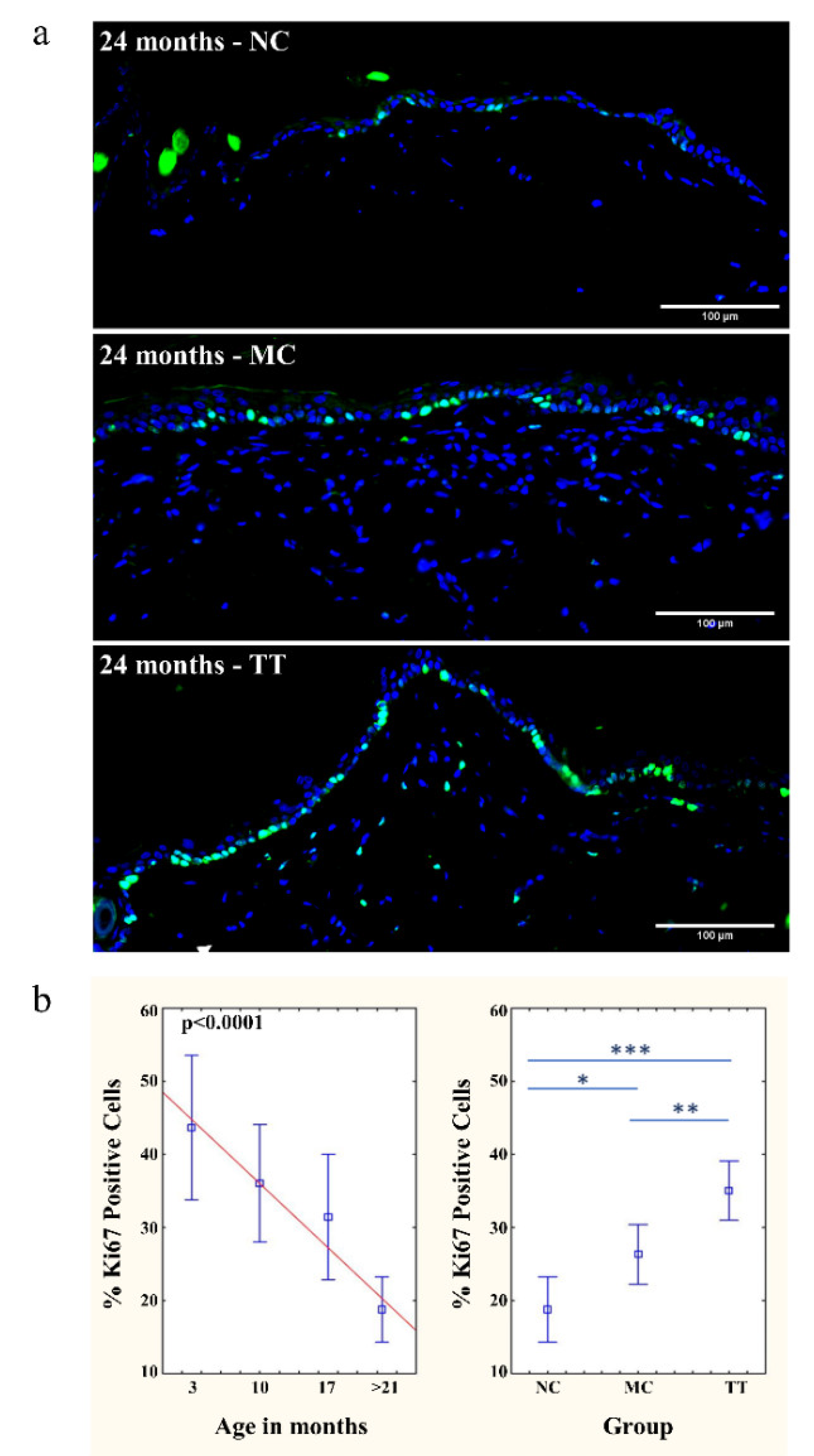 Pharmaceutics 14 01955 g002