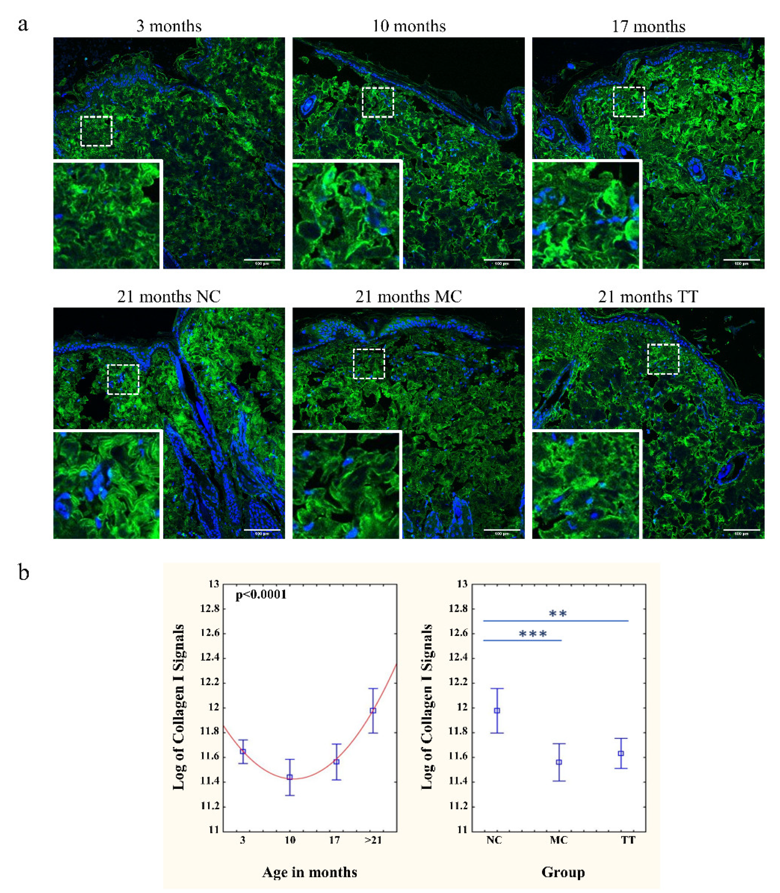 Pharmaceutics 14 01955 g003