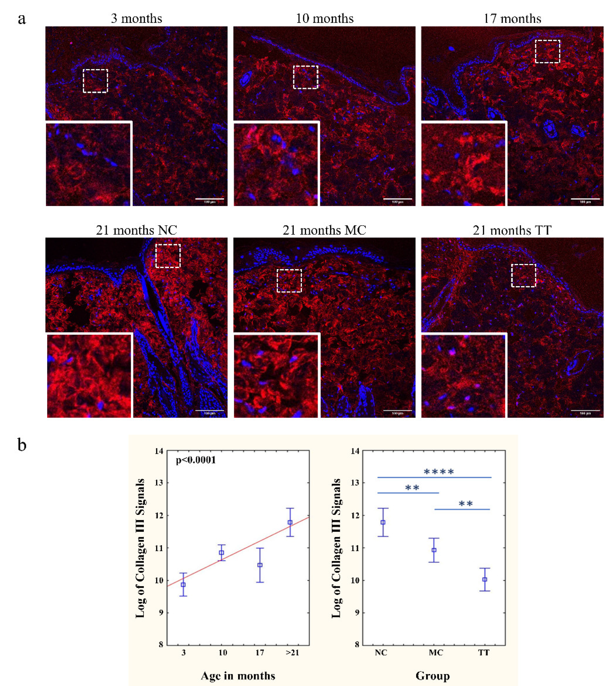 Pharmaceutics 14 01955 g004
