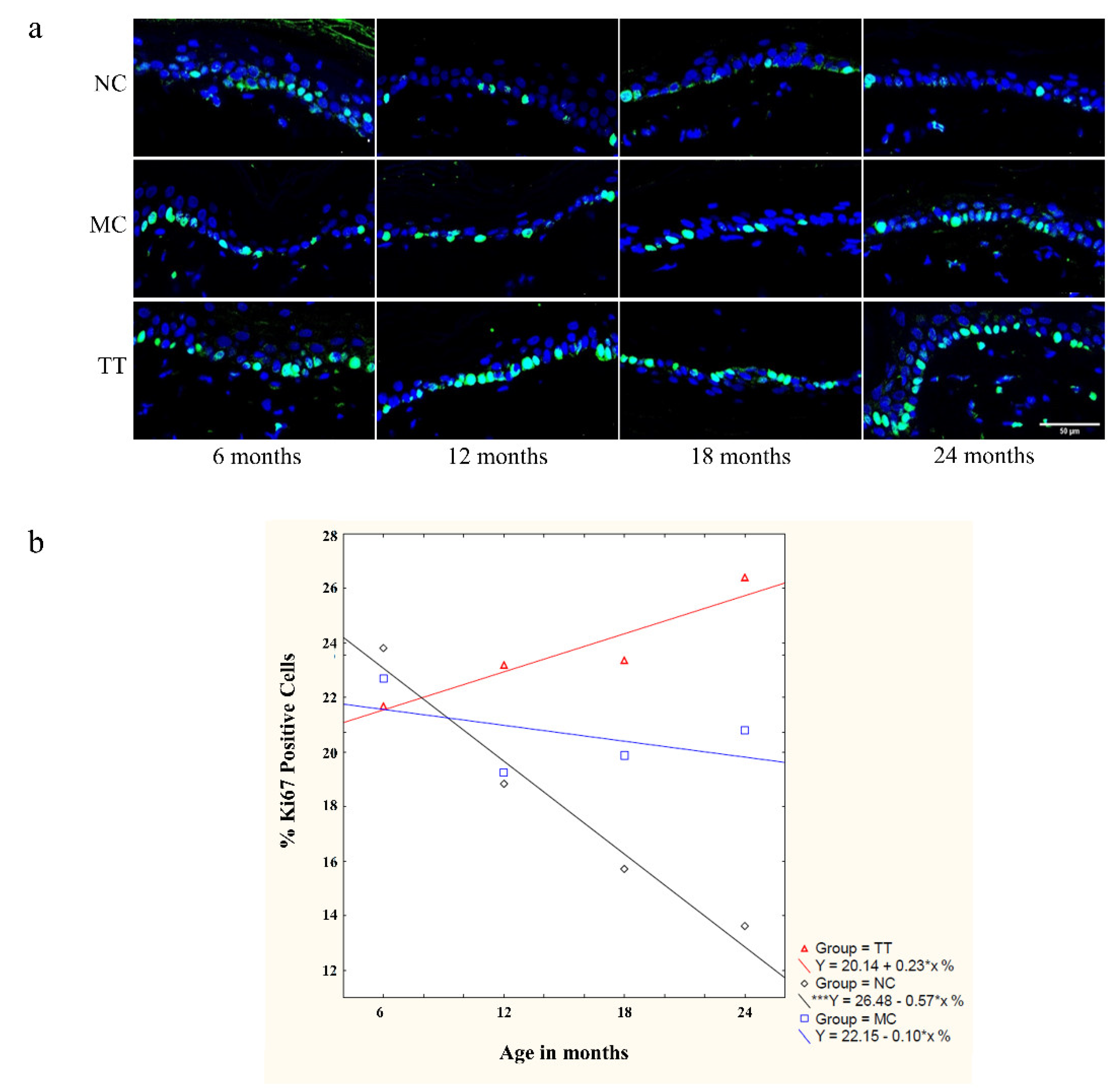 Pharmaceutics 14 01955 g005