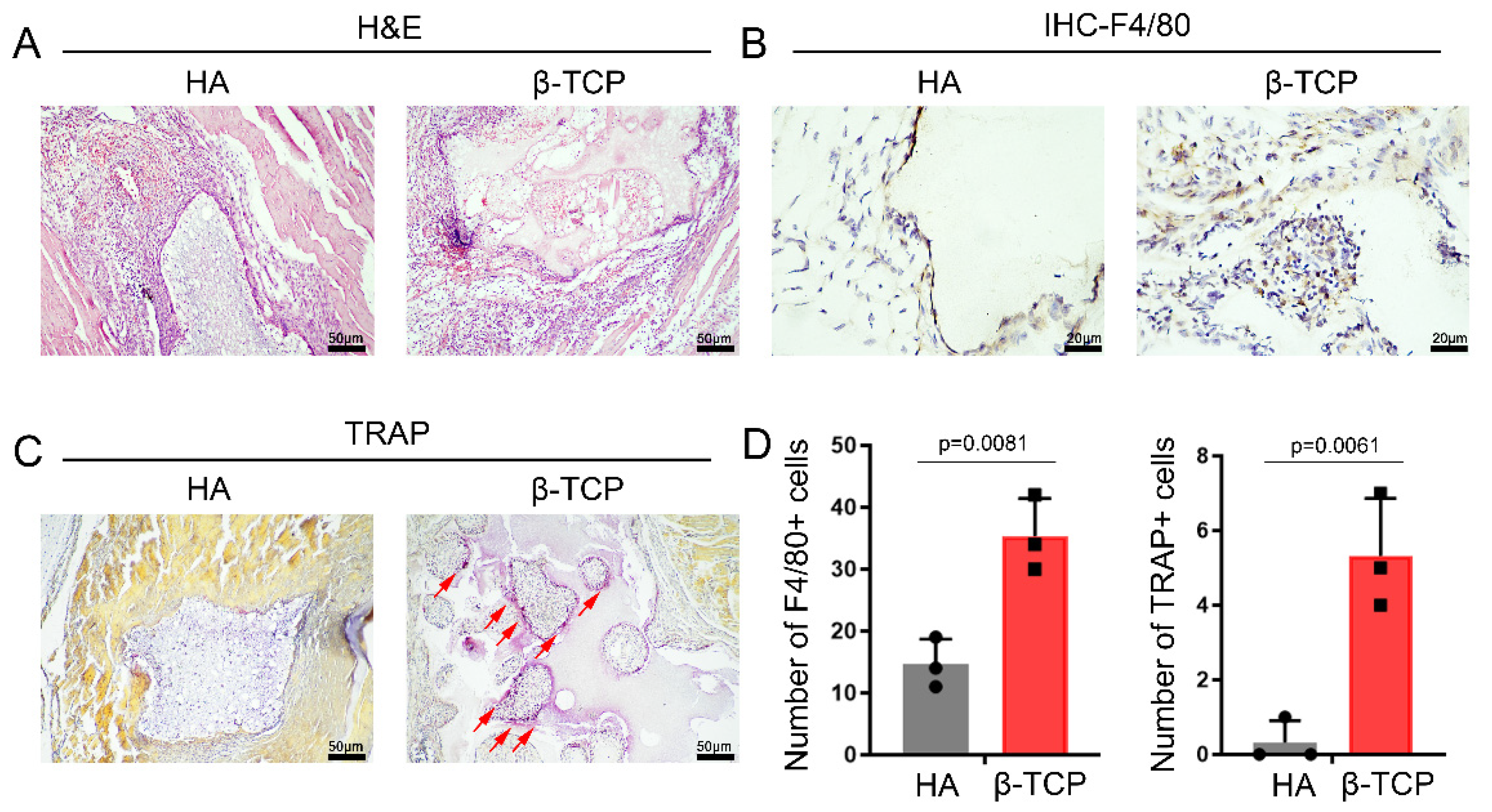 Pharmaceutics 14 01962 g001