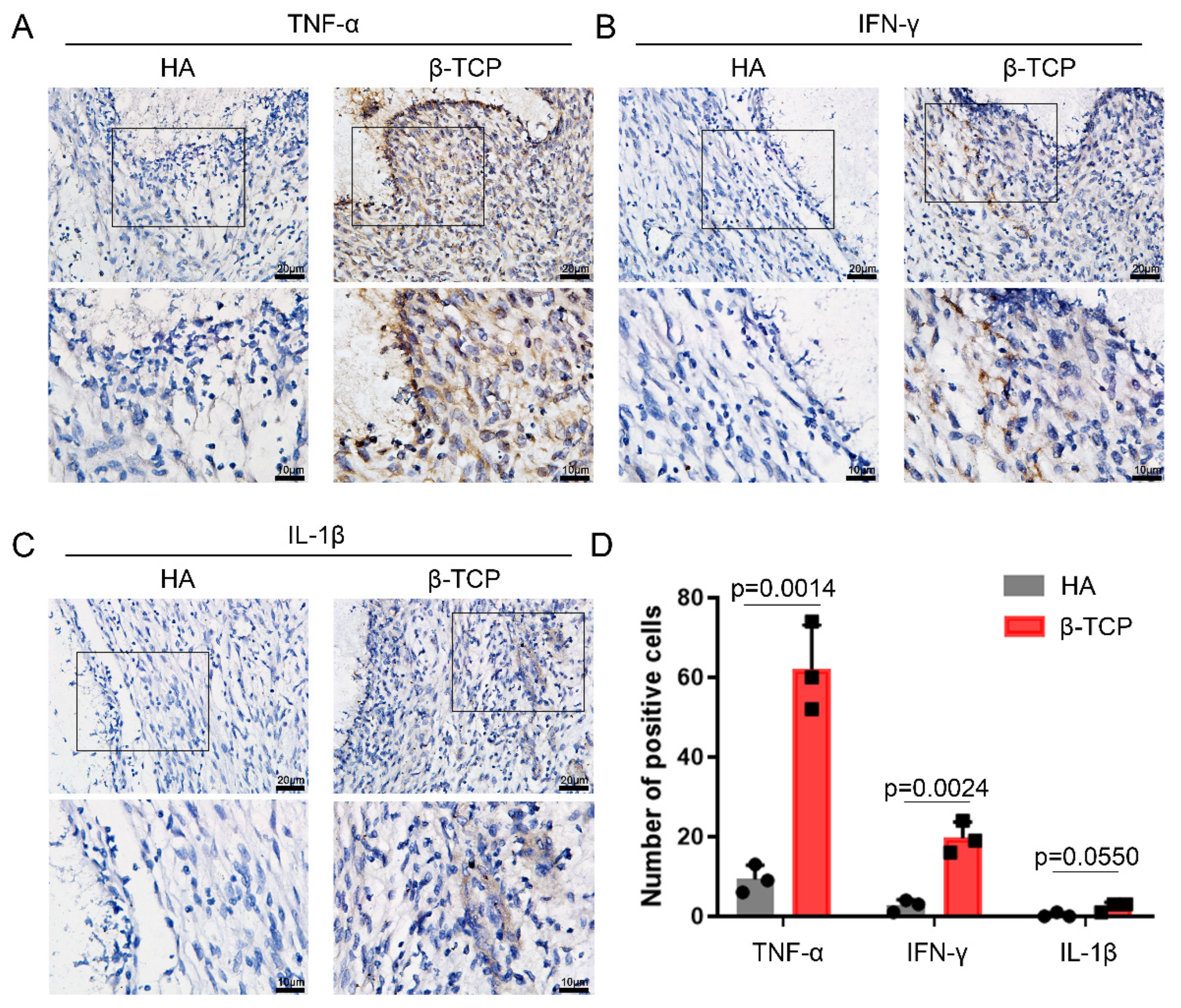 Pharmaceutics 14 01962 g002