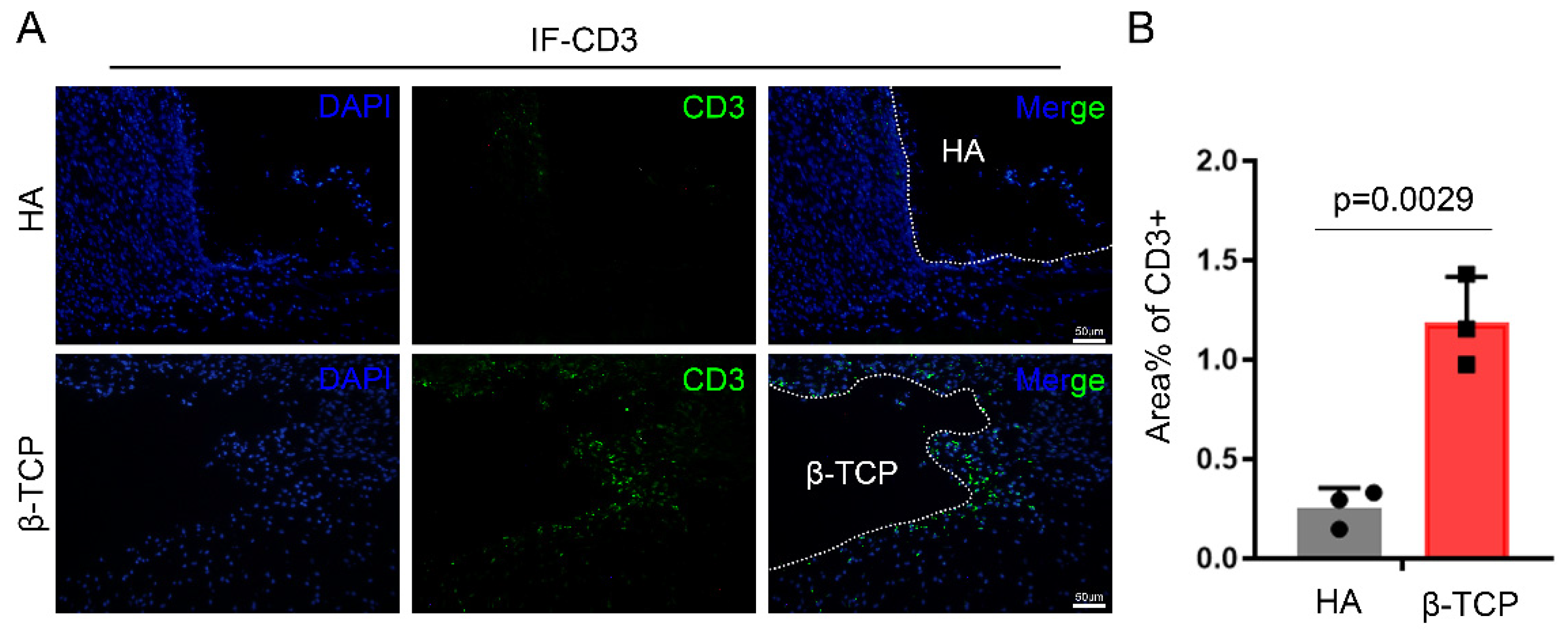 Pharmaceutics 14 01962 g003
