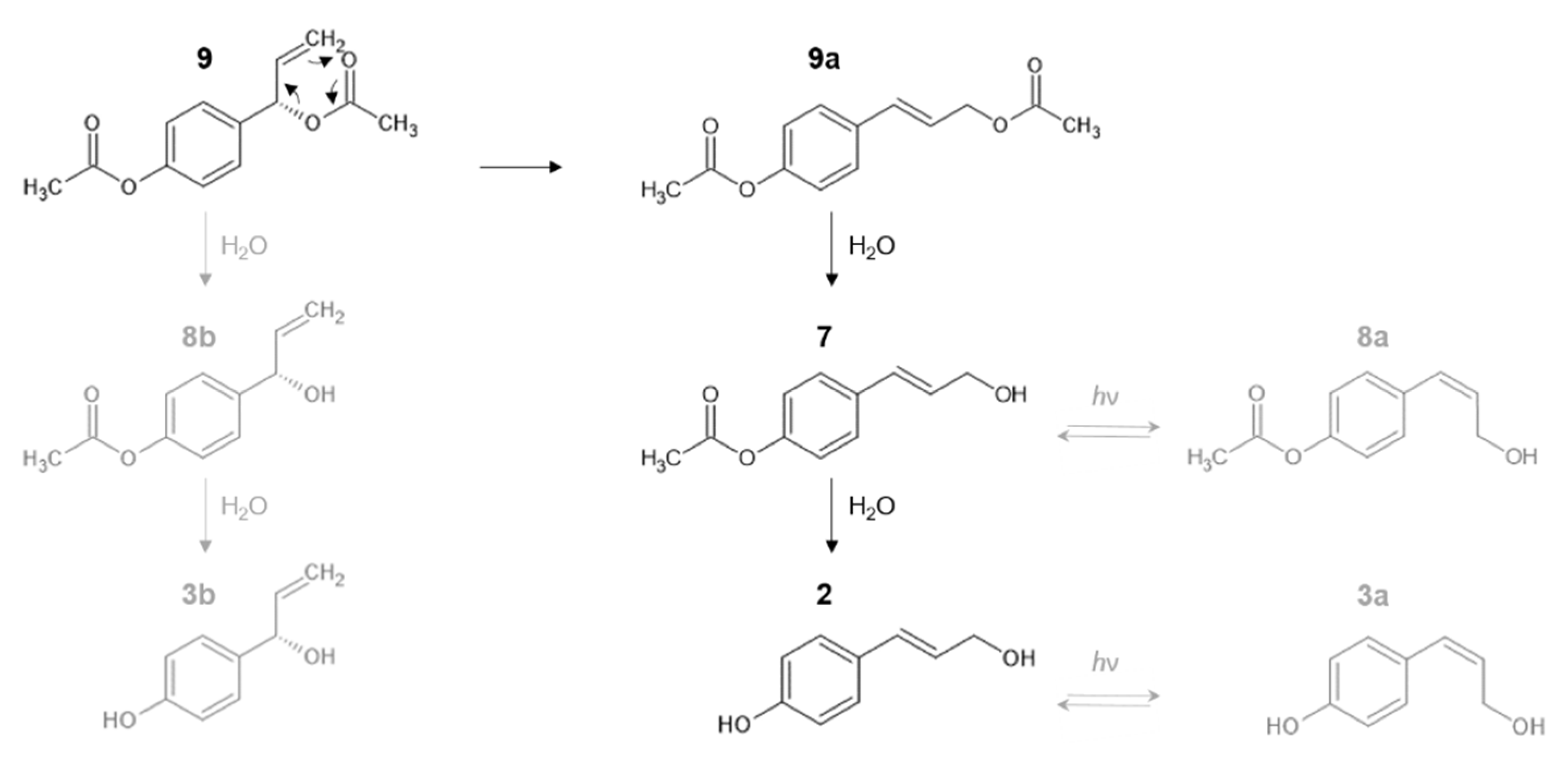 Pharmaceutics 14 01967 g007