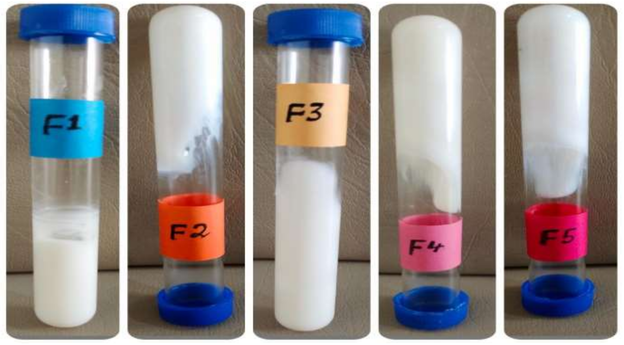 Pharmaceutics 14 01971 g001