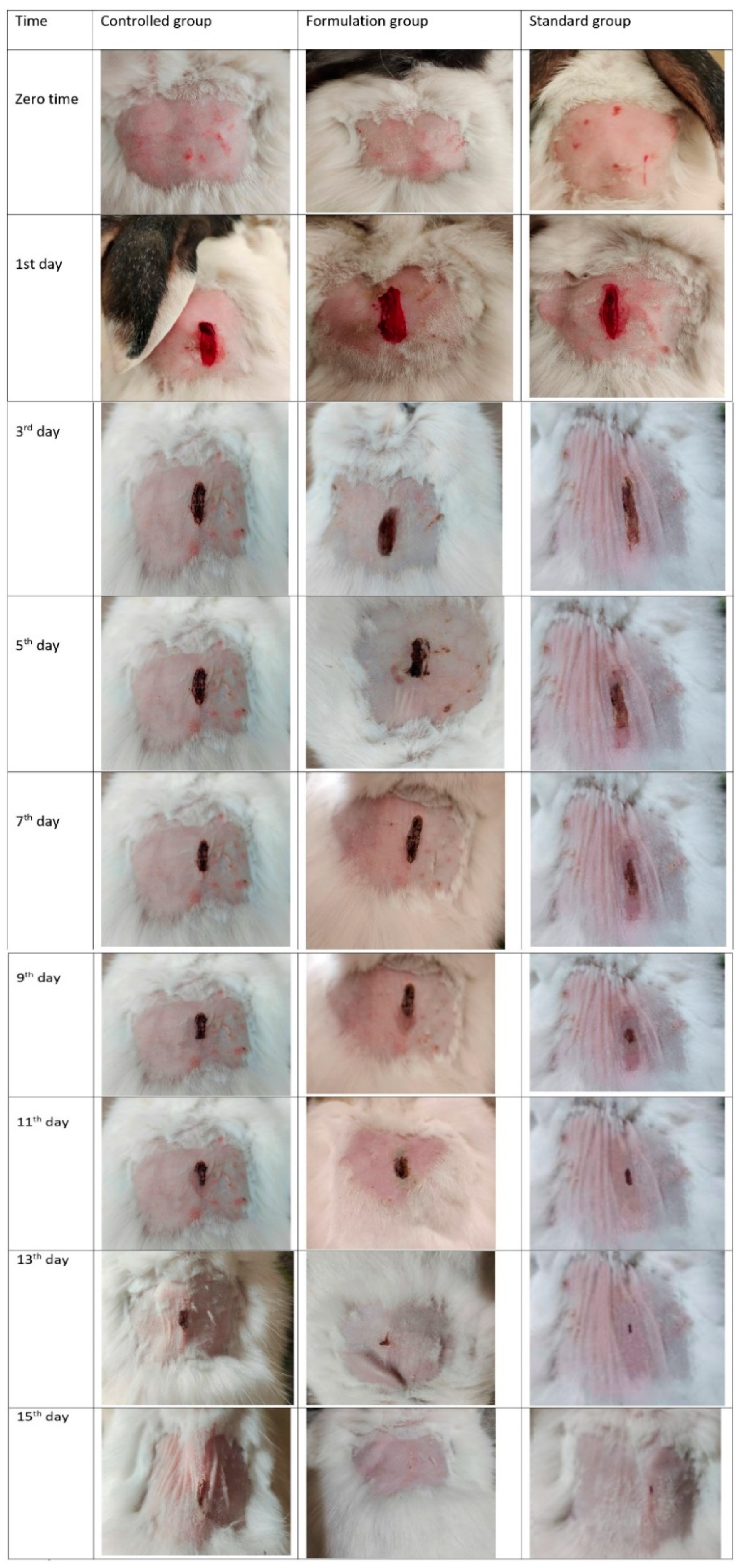 Pharmaceutics 14 01971 g004
