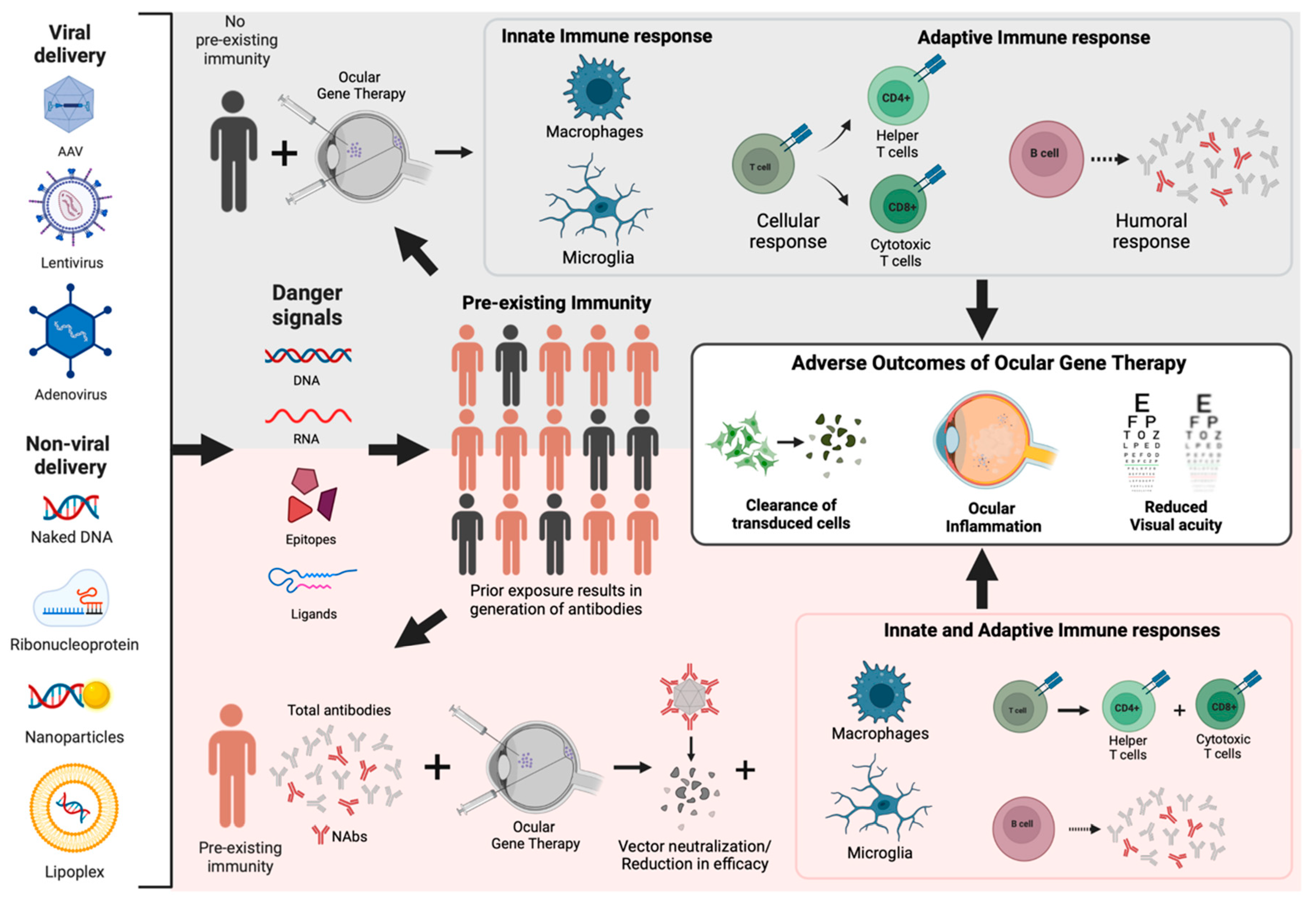 Pharmaceutics 14 01973 g001 Pharmaceutics 14 01973 g001