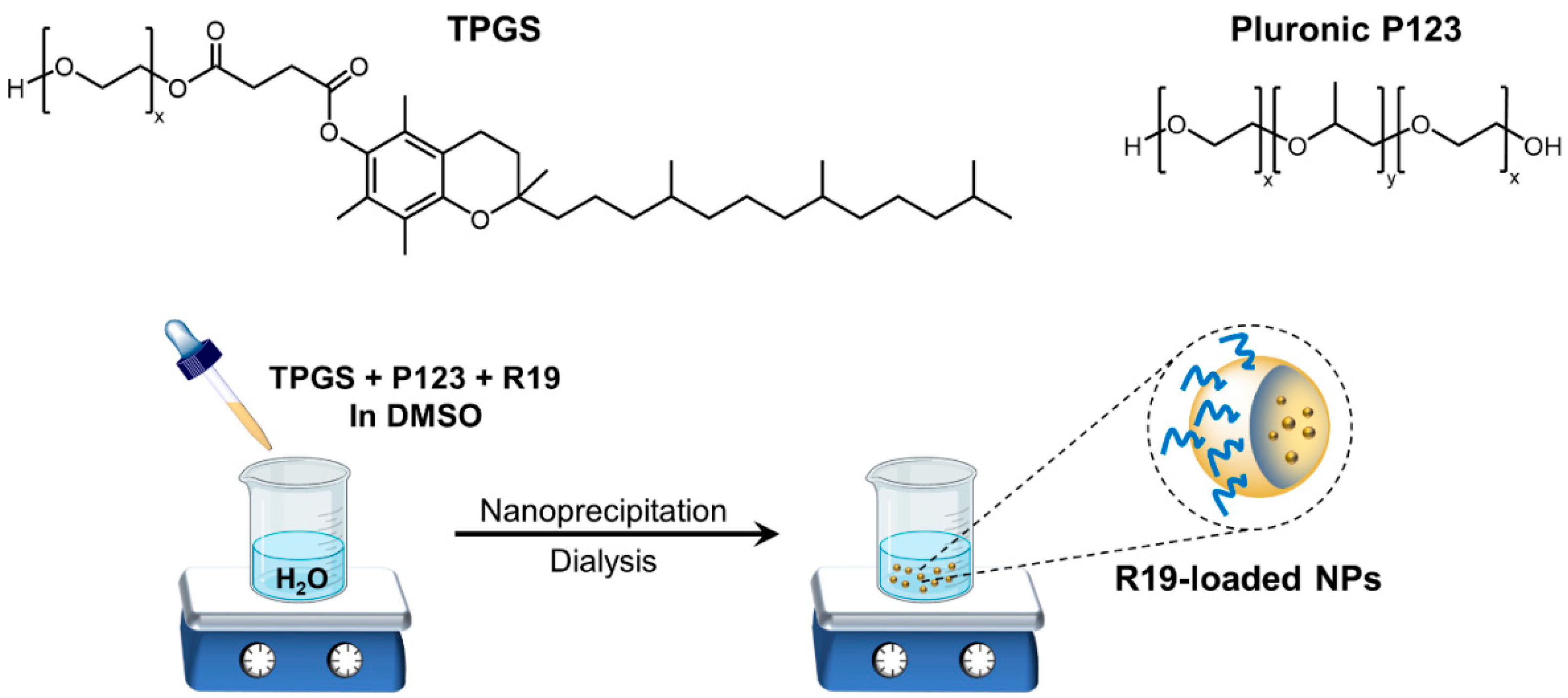 Pharmaceutics 14 01977 g002 Pharmaceutics 14 01977 g002