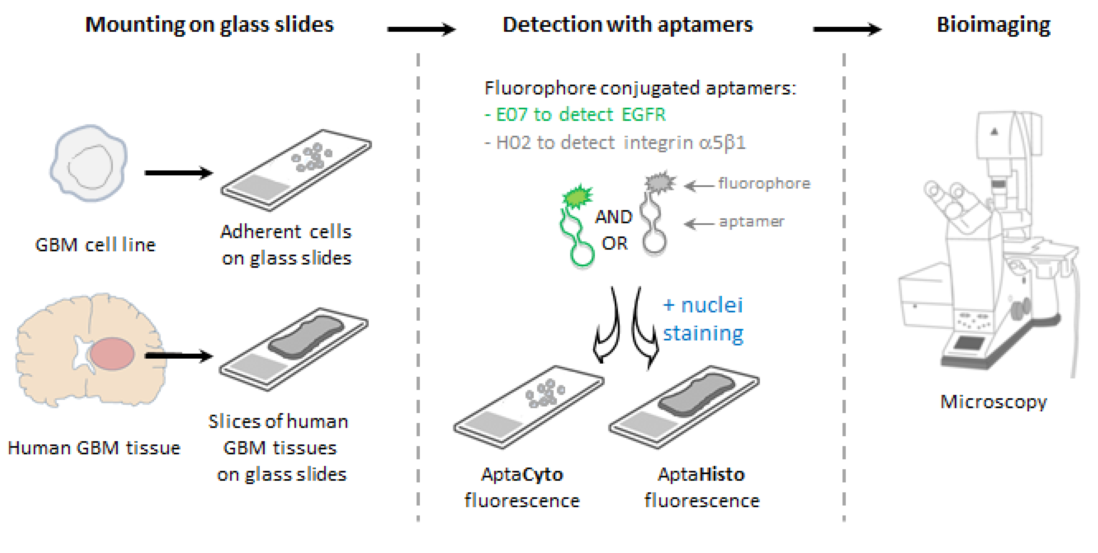 Pharmaceutics 14 01980 g001