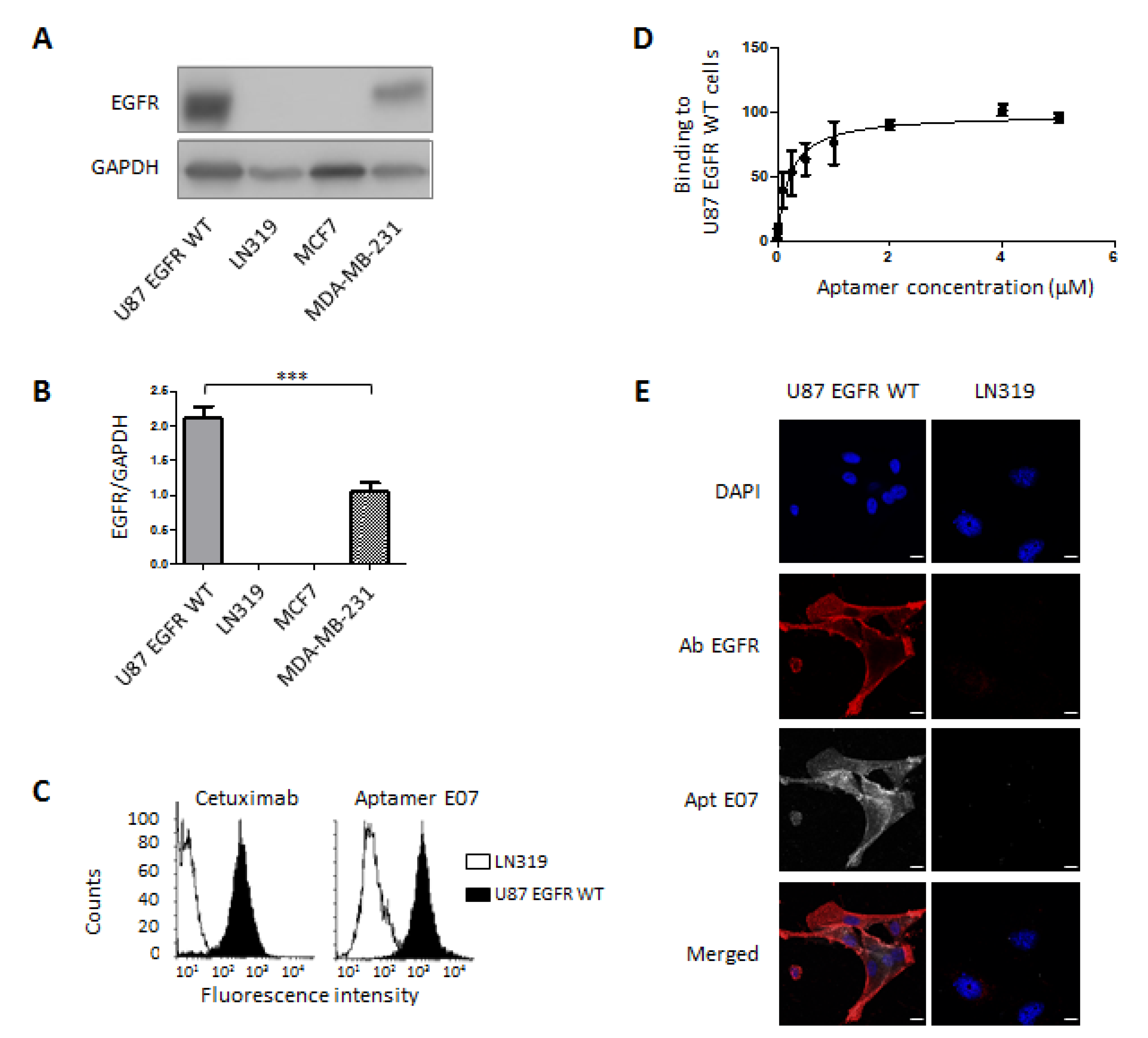 Pharmaceutics 14 01980 g002