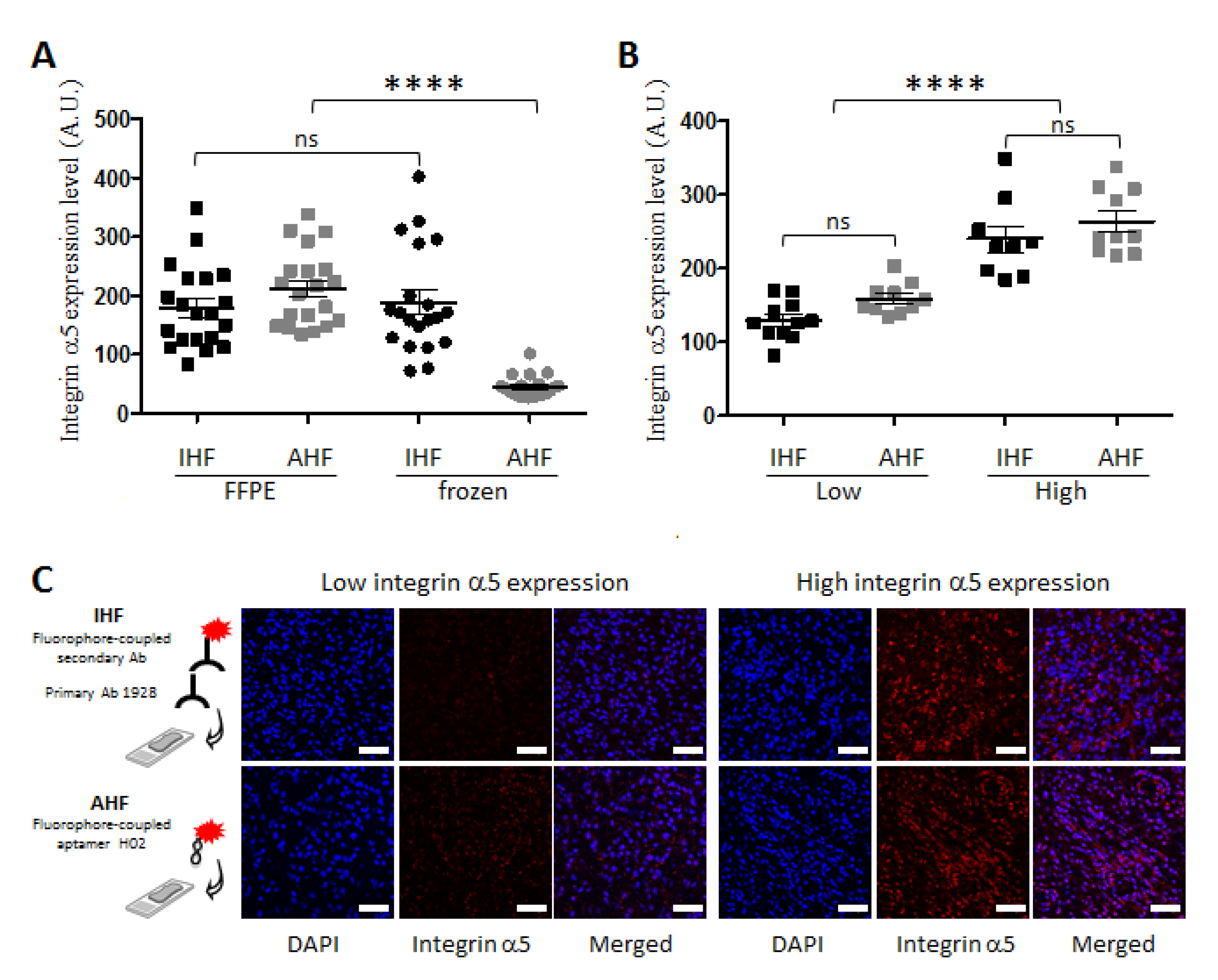 Pharmaceutics 14 01980 g003