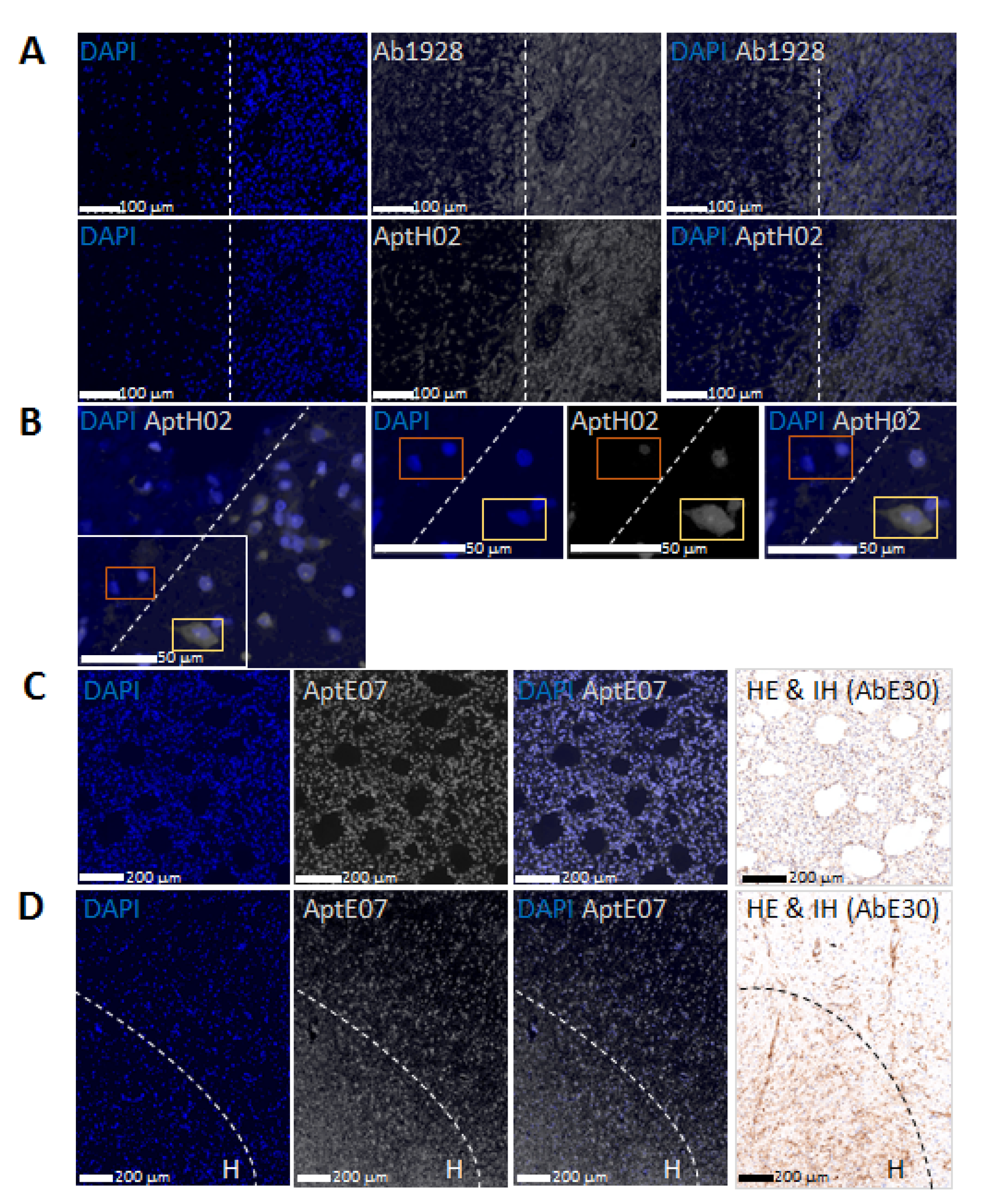 Pharmaceutics 14 01980 g004