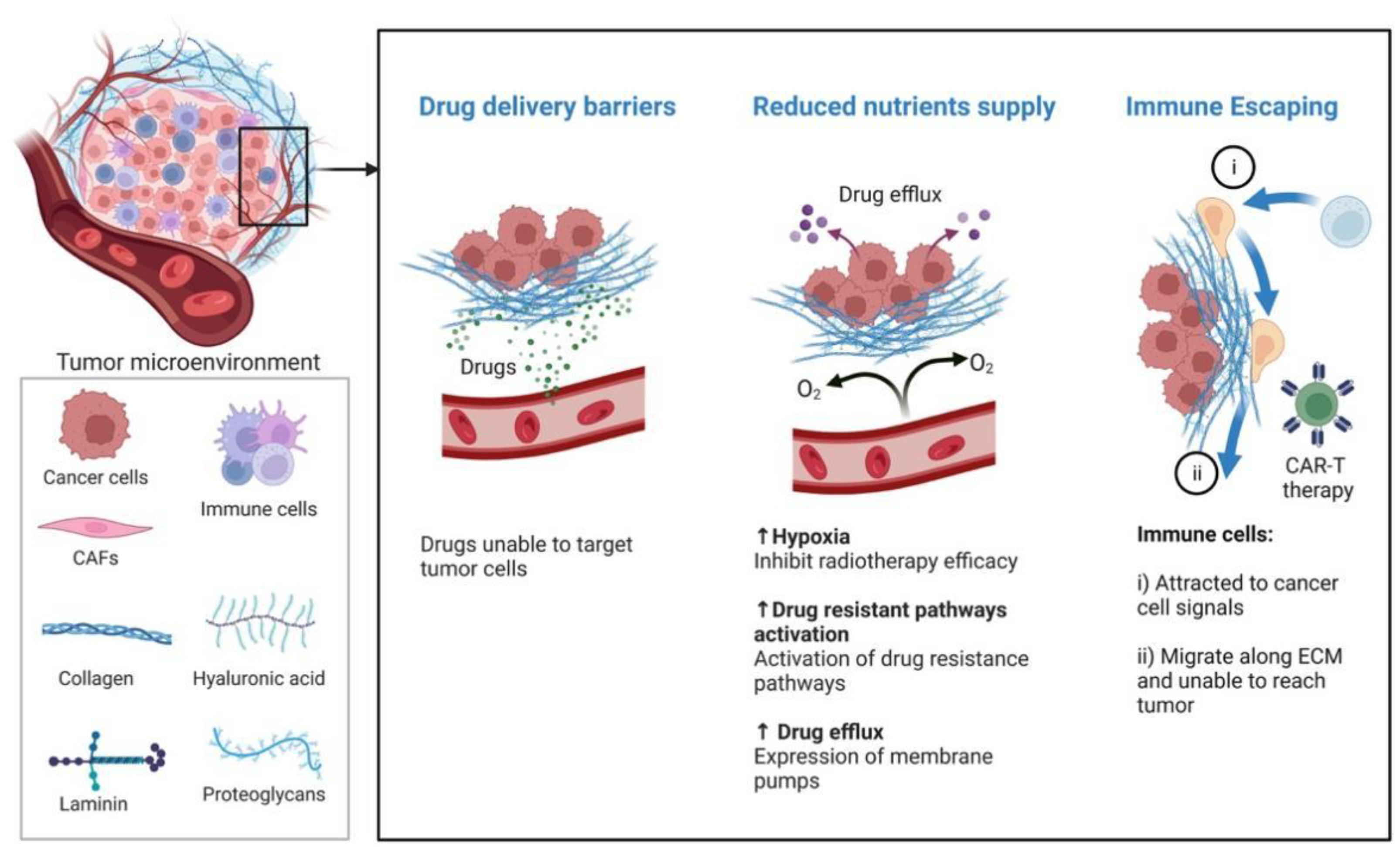 Pharmaceutics 14 01990 g004 Pharmaceutics 14 01990 g004