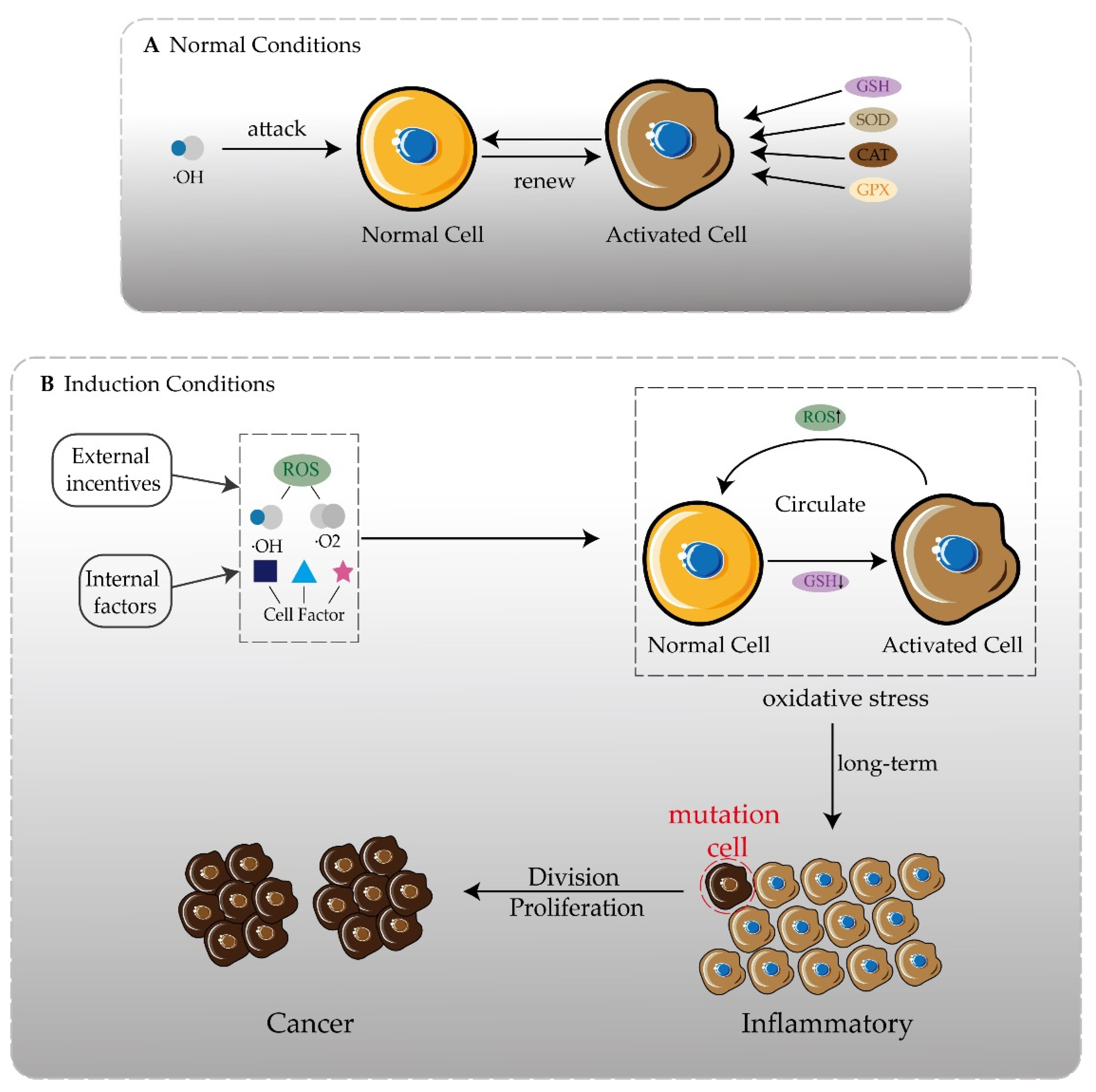 Pharmaceutics 14 01993 g001